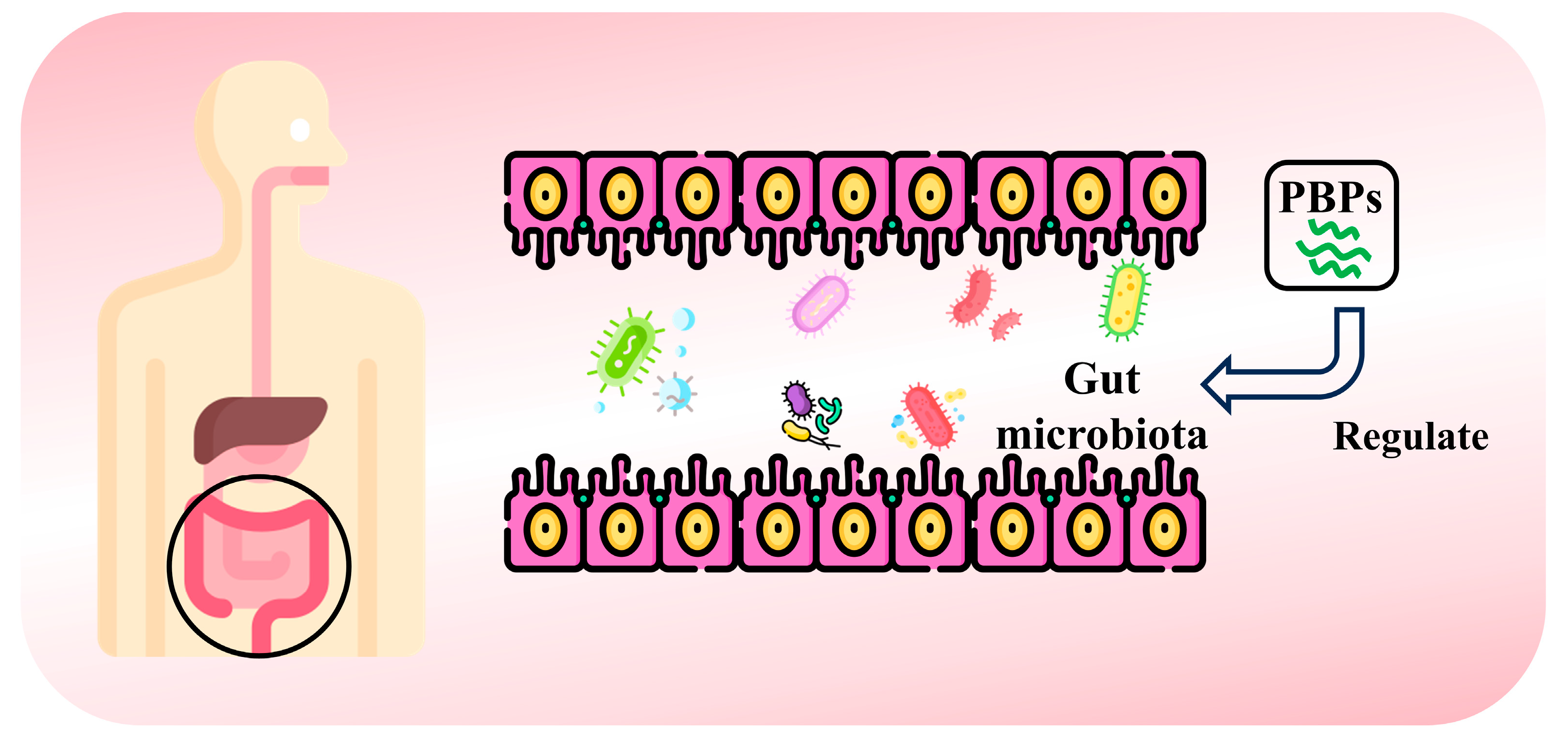 Nutrients 16 03277 g007