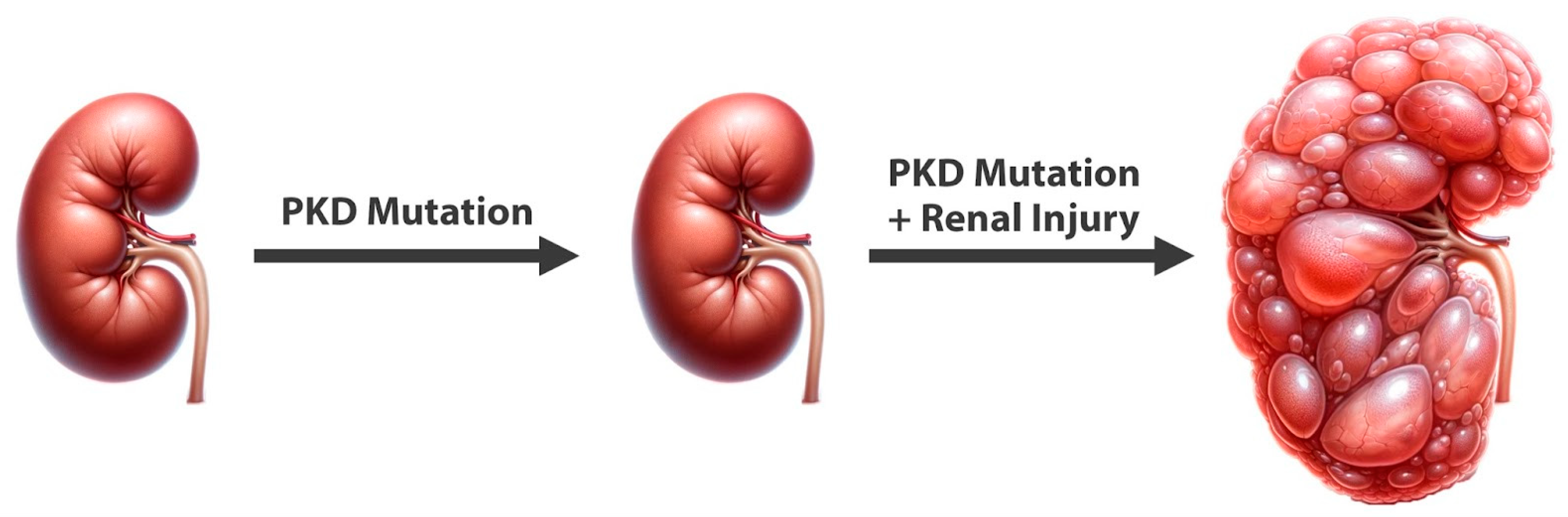 Nutrients 16 03281 g001 Nutrients 16 03281 g001