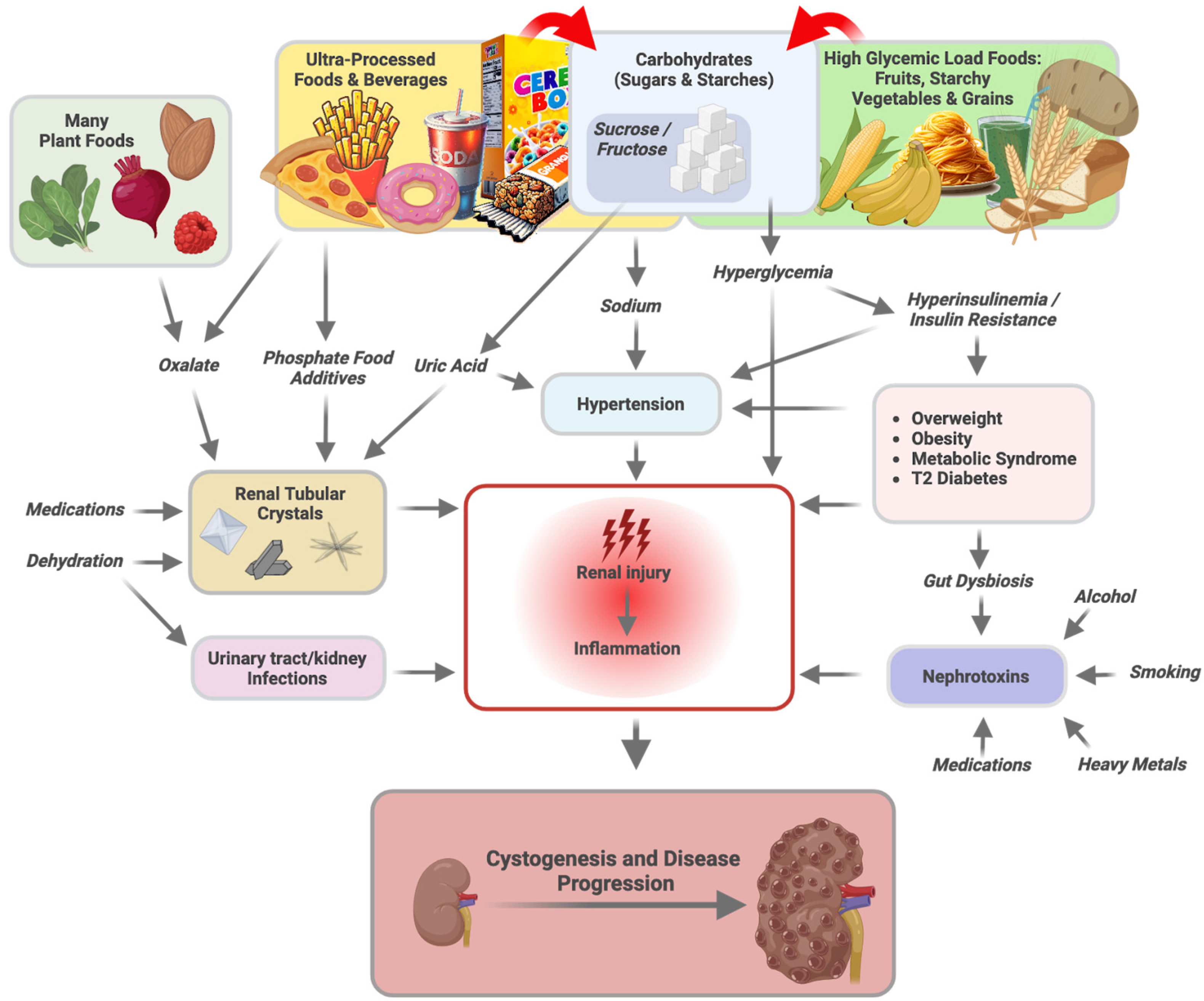 Nutrients 16 03281 g002 Nutrients 16 03281 g002