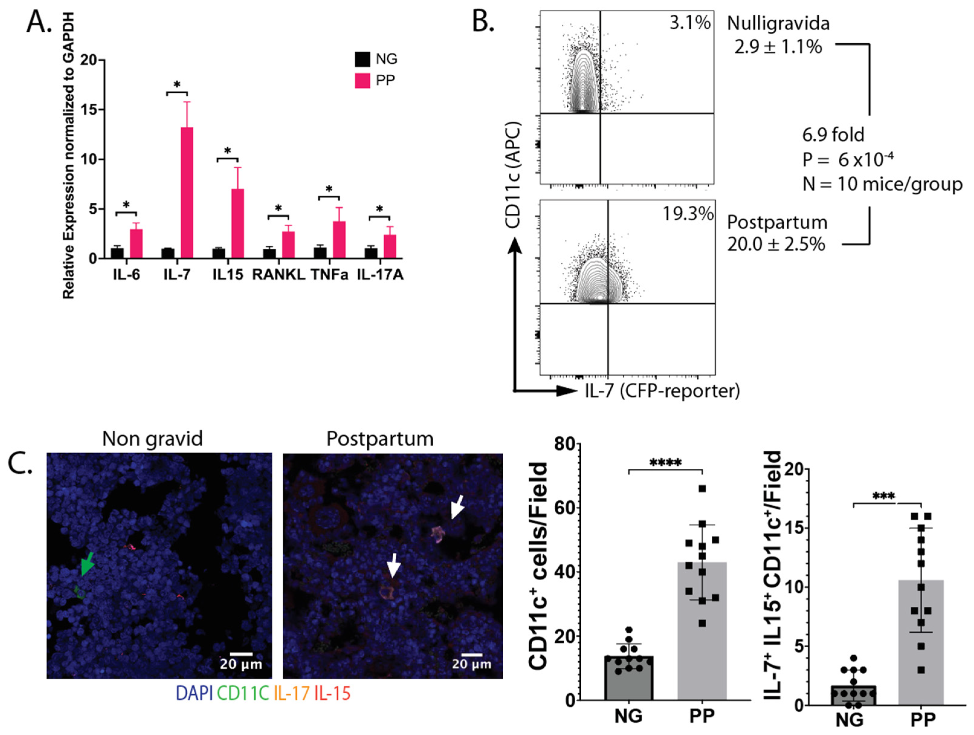 Nutrients 16 03289 g001