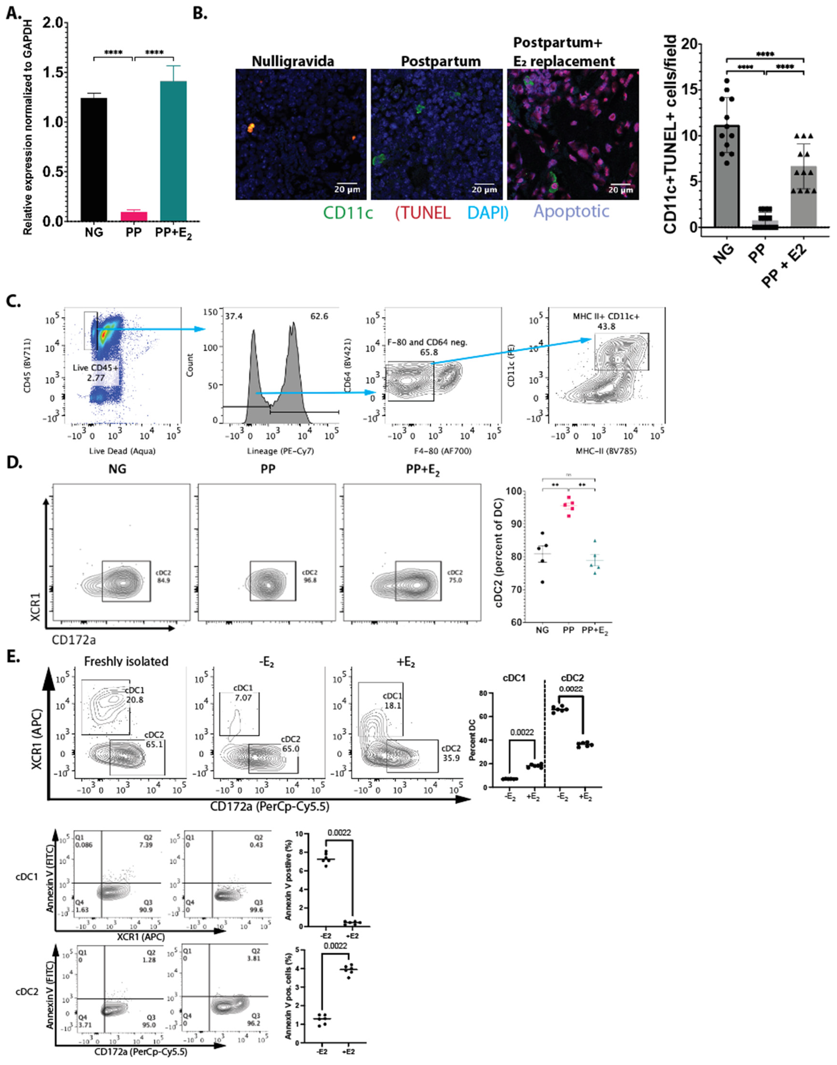 Nutrients 16 03289 g002