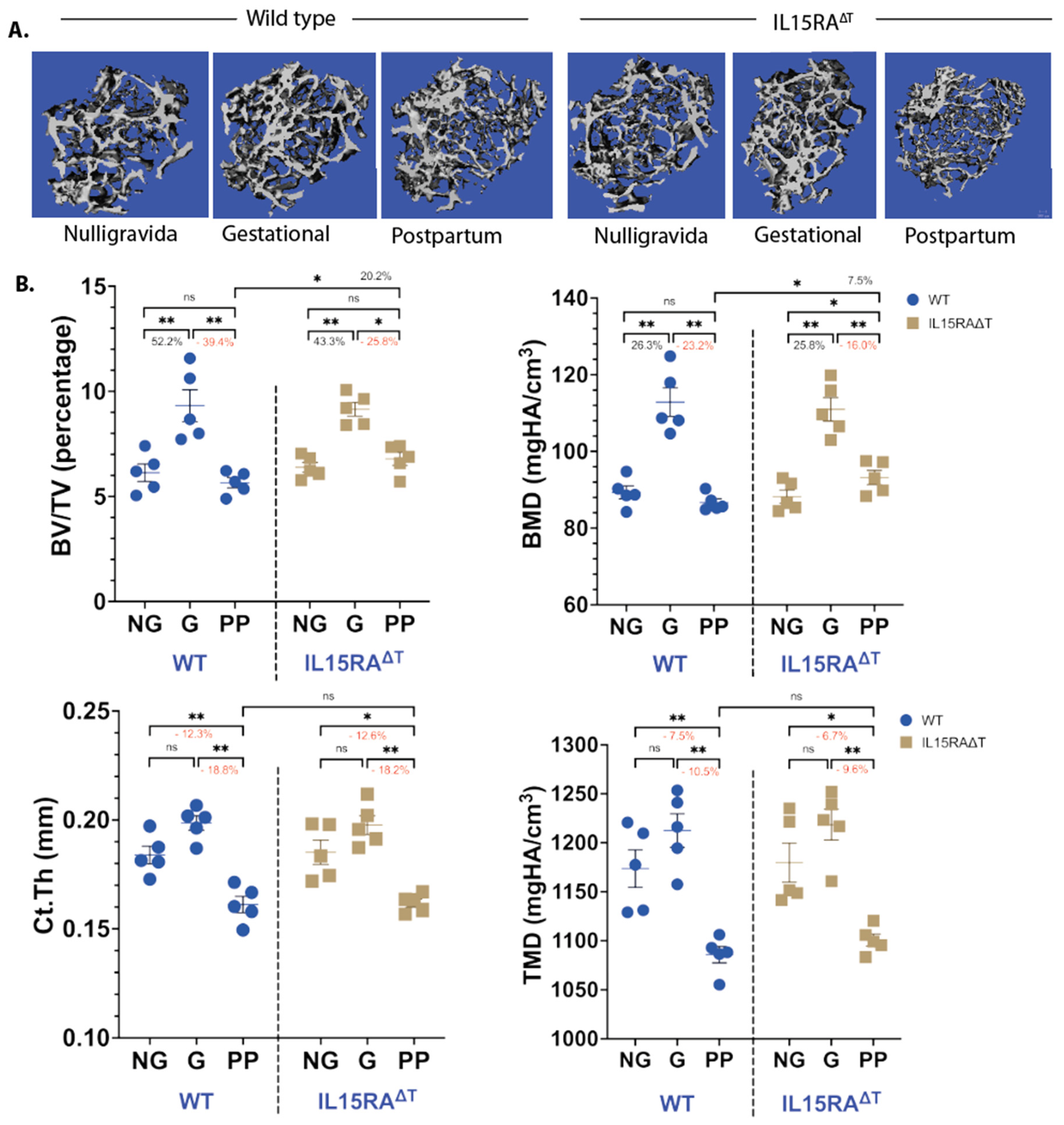 Nutrients 16 03289 g003