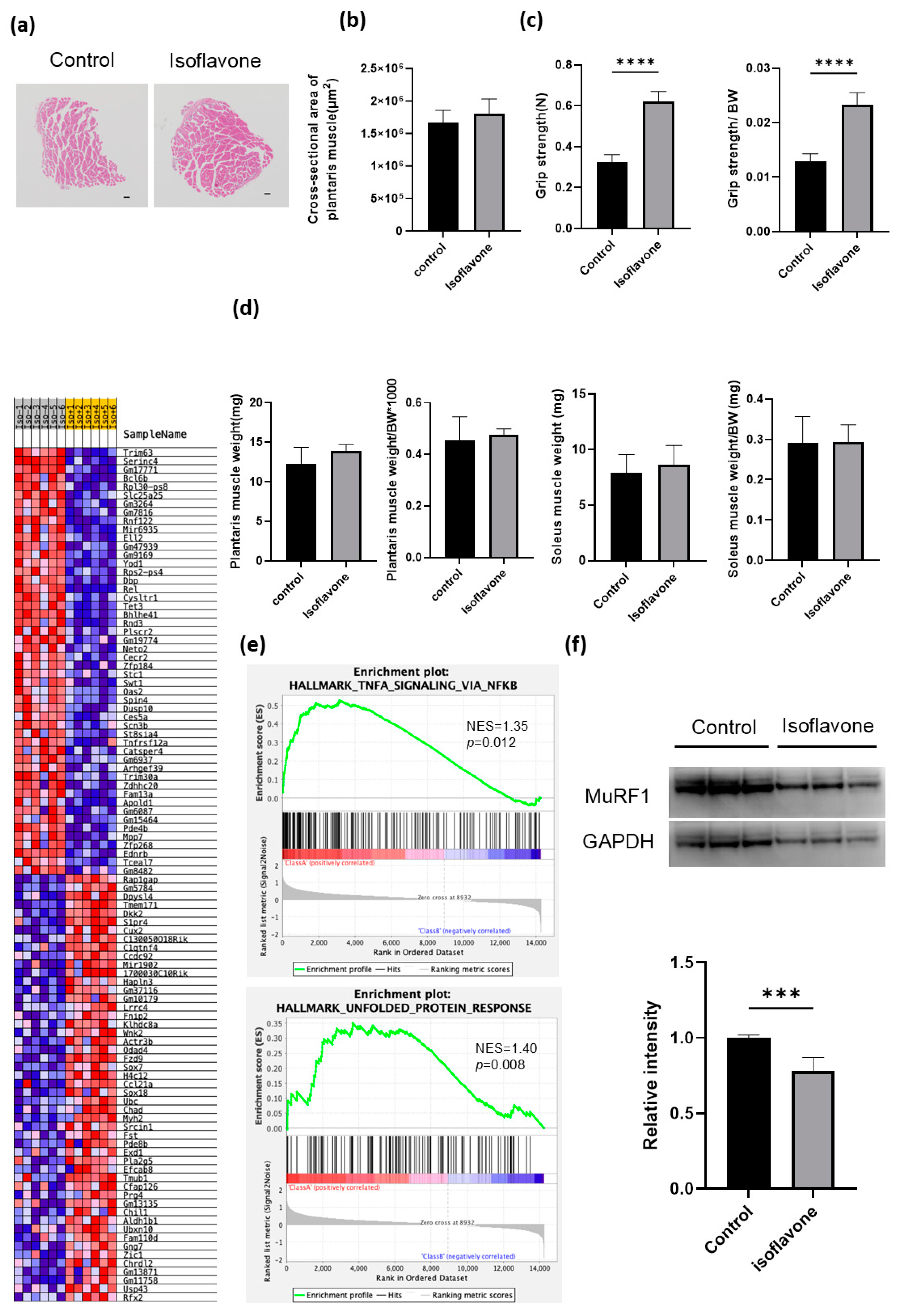 Nutrients 16 03295 g002