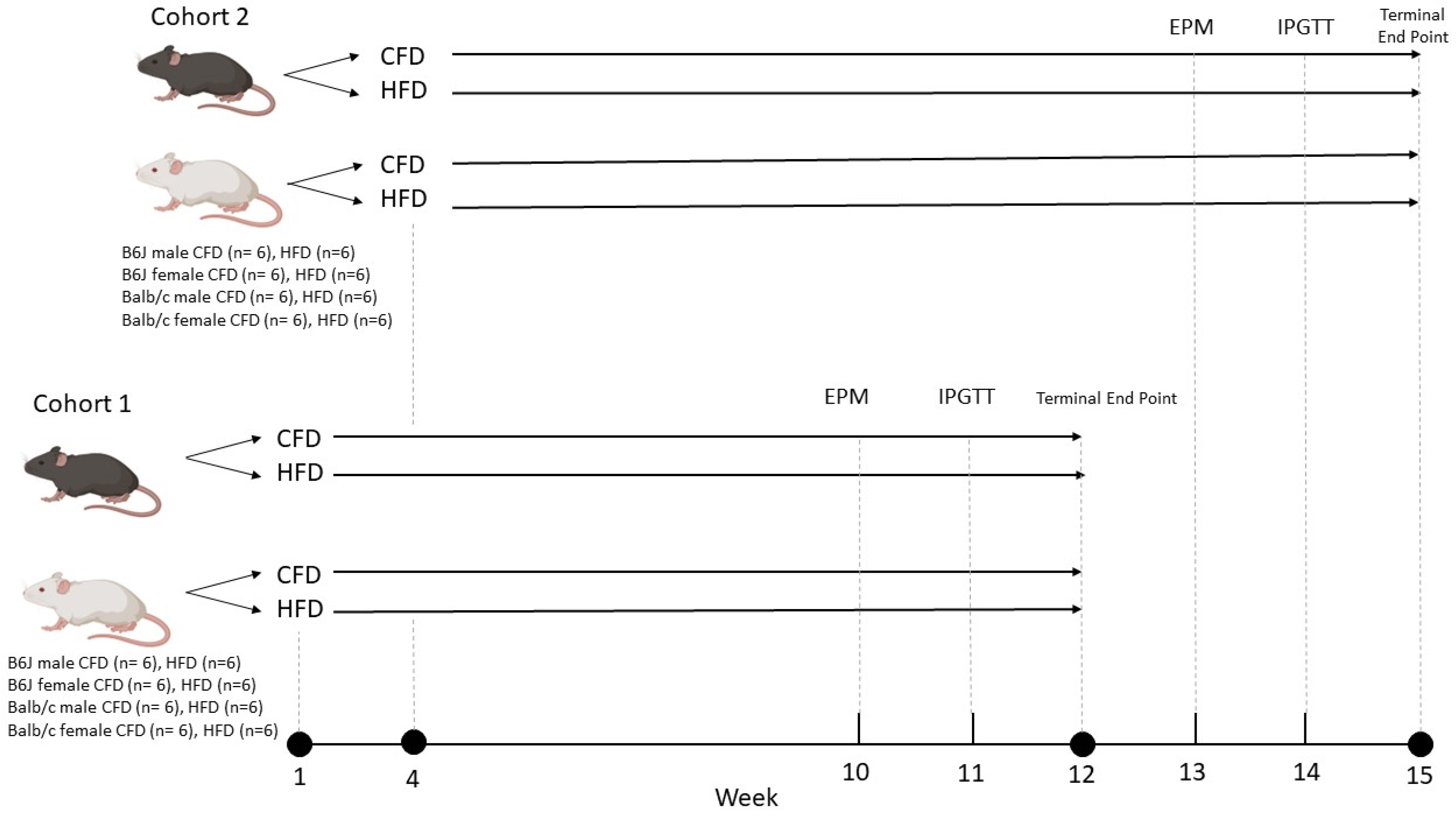 Nutrients 16 03301 g001