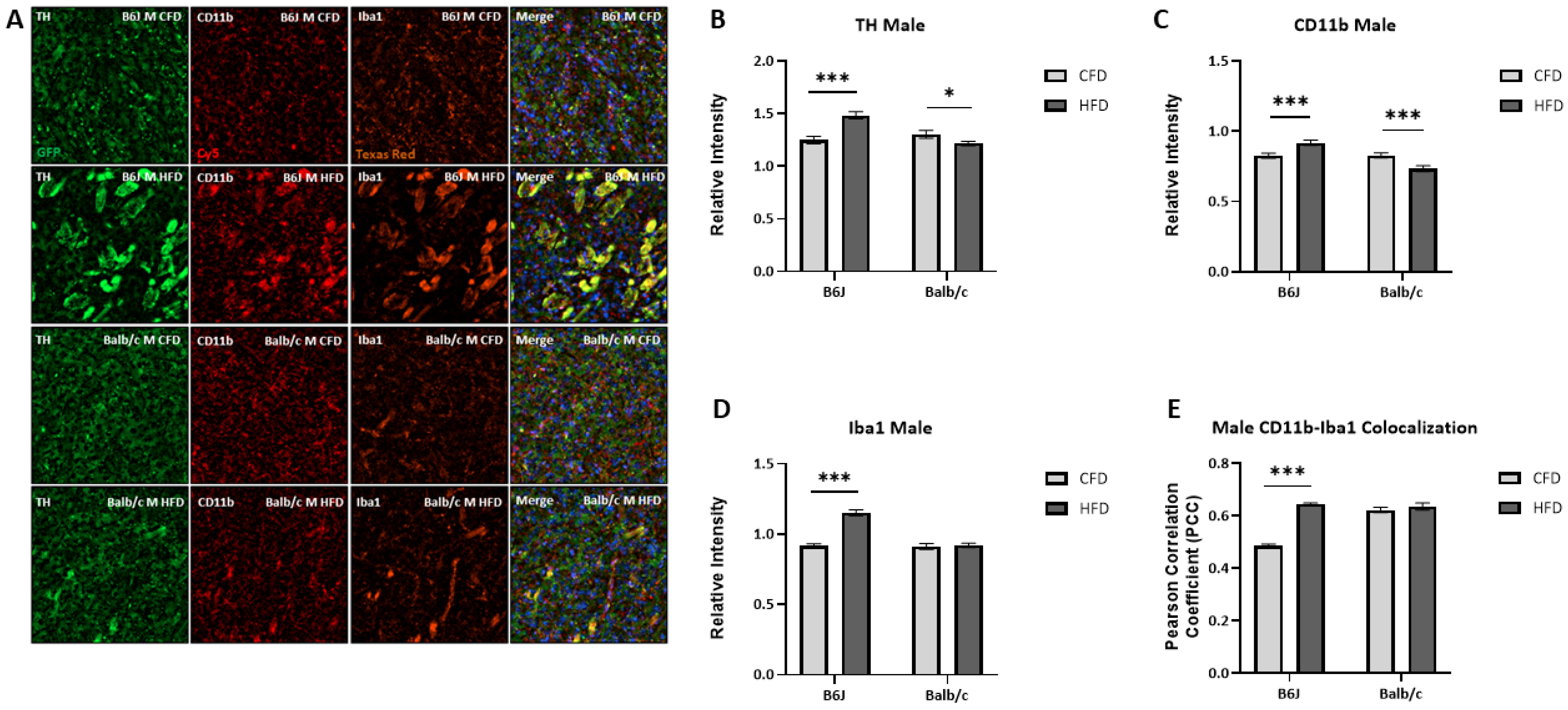 Nutrients 16 03301 g006