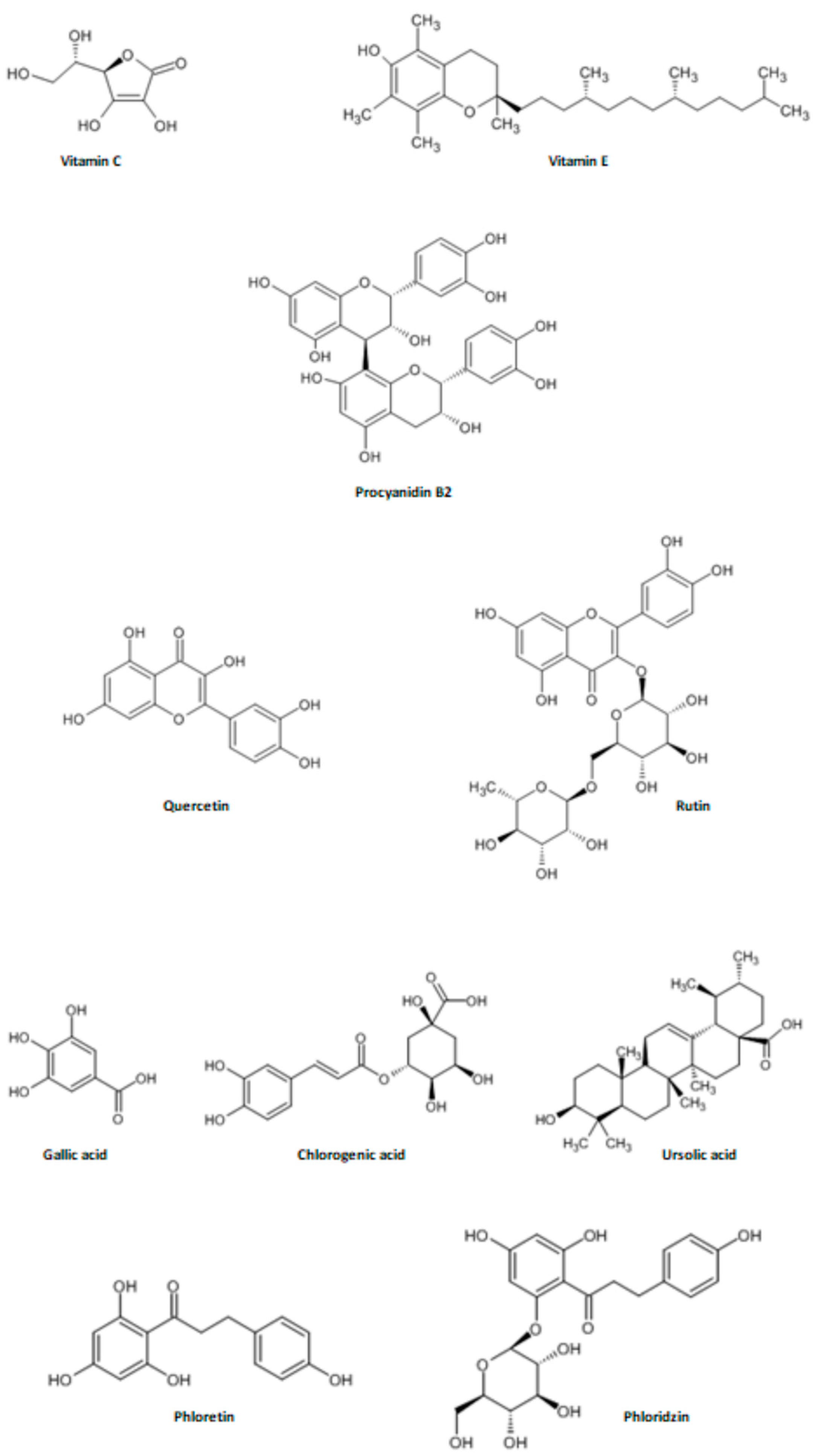 Nutrients 16 03307 g006 Nutrients 16 03307 g006