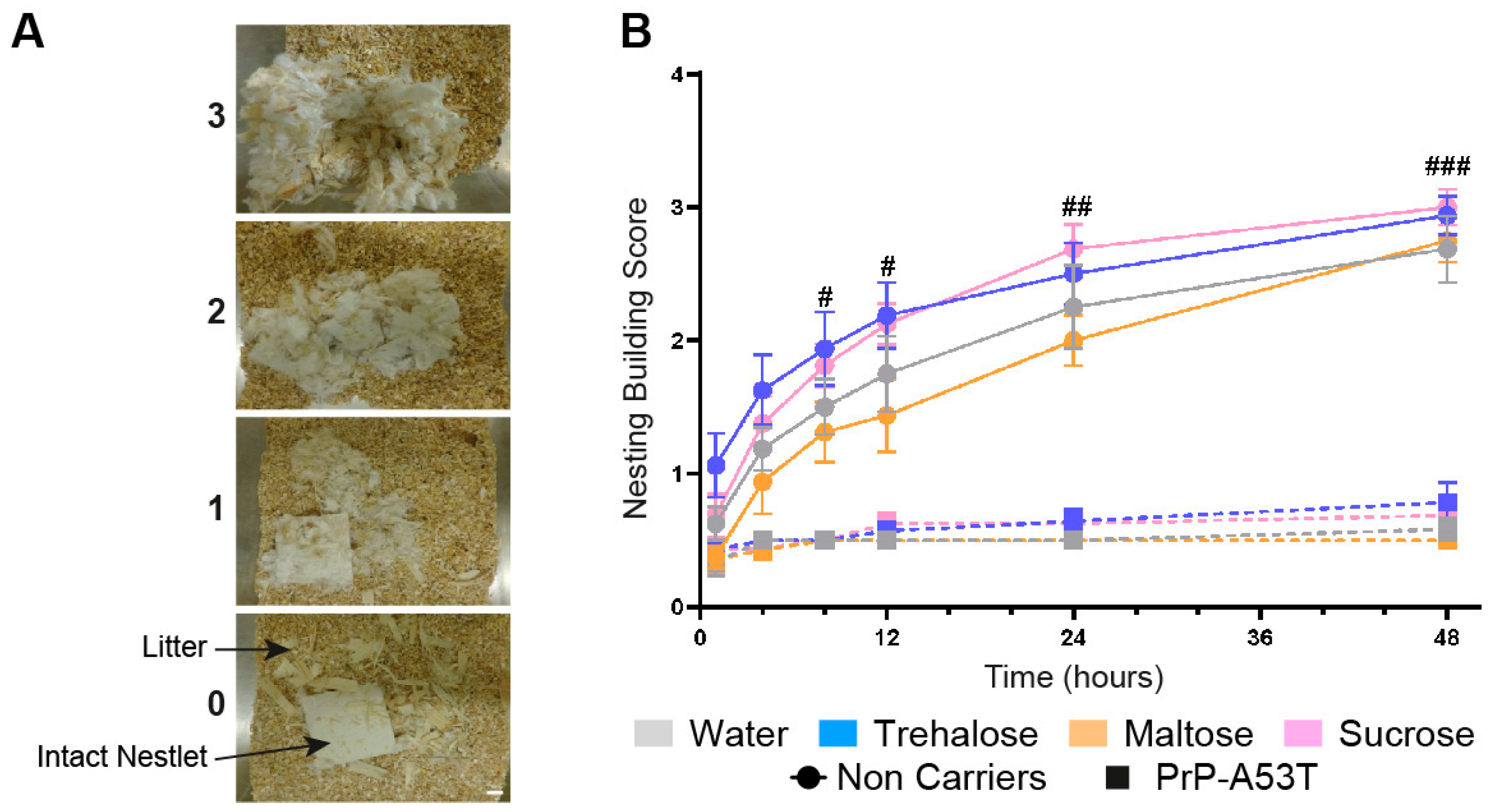 Nutrients 16 03309 g004