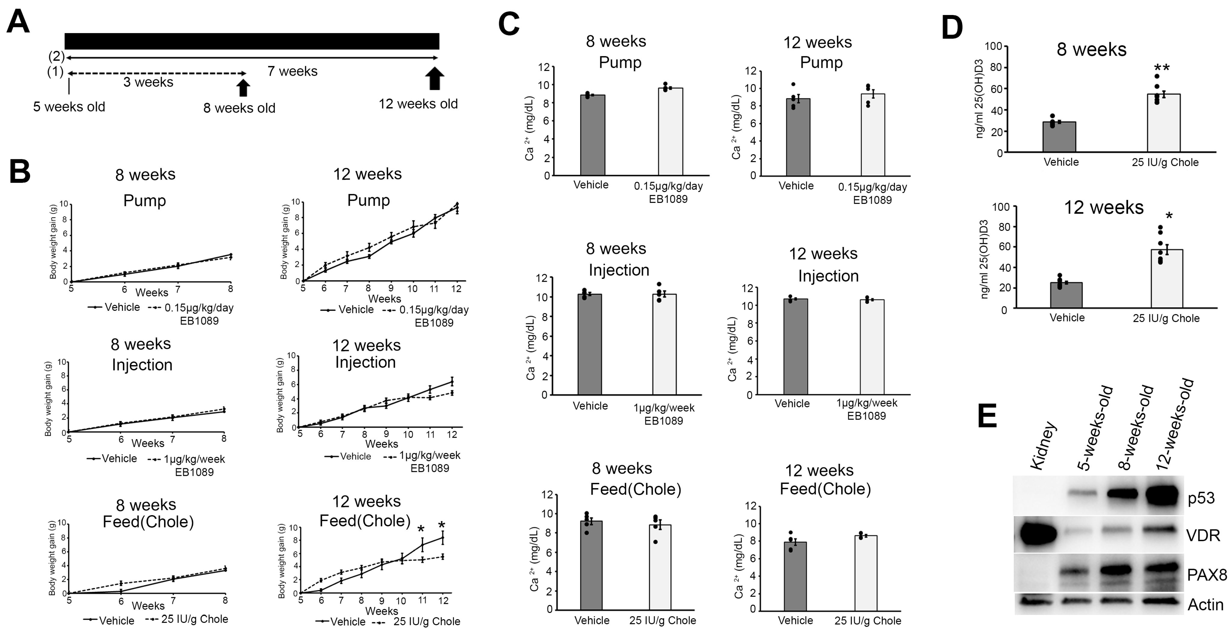 Nutrients 16 03318 g001