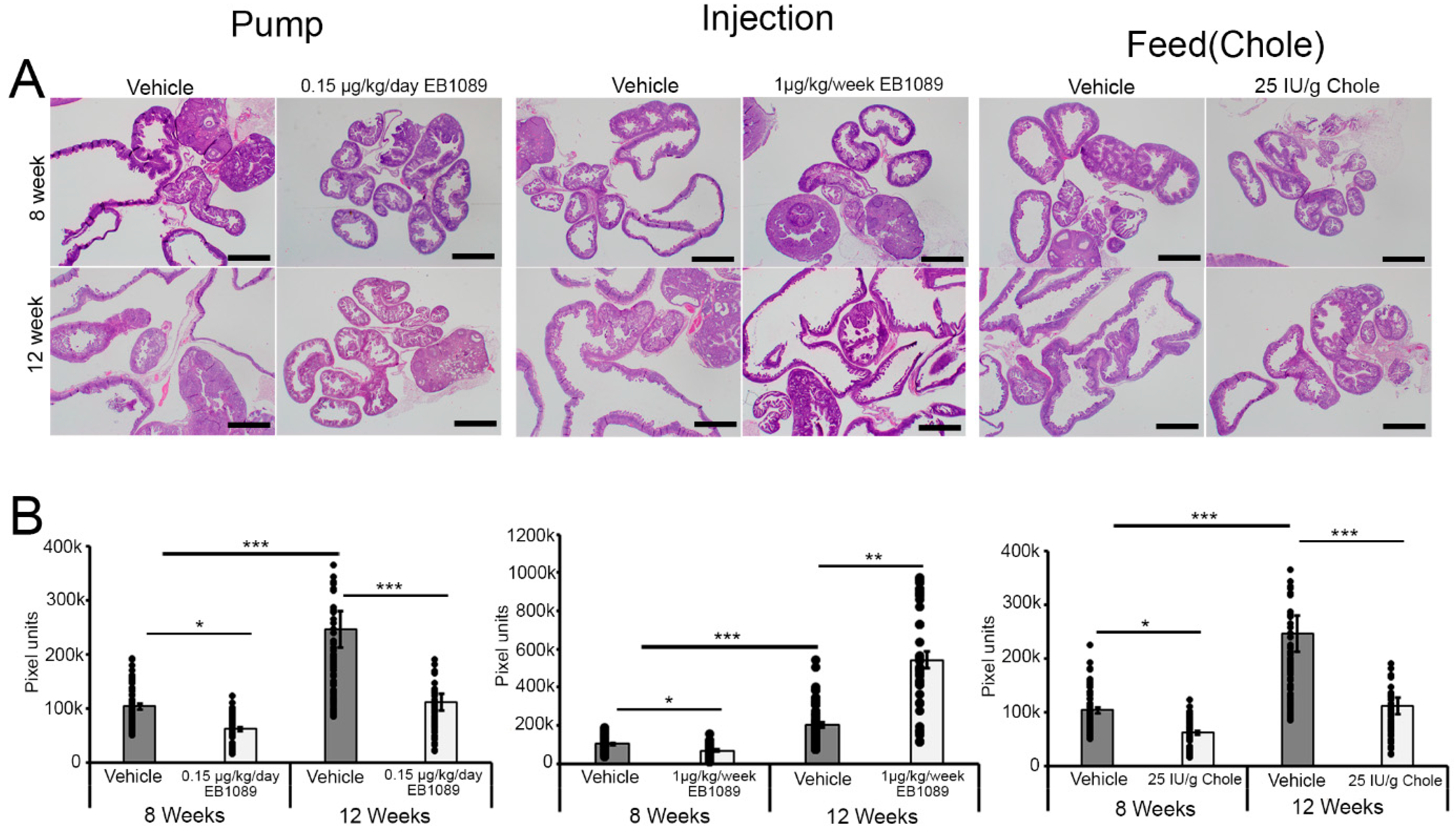 Nutrients 16 03318 g002