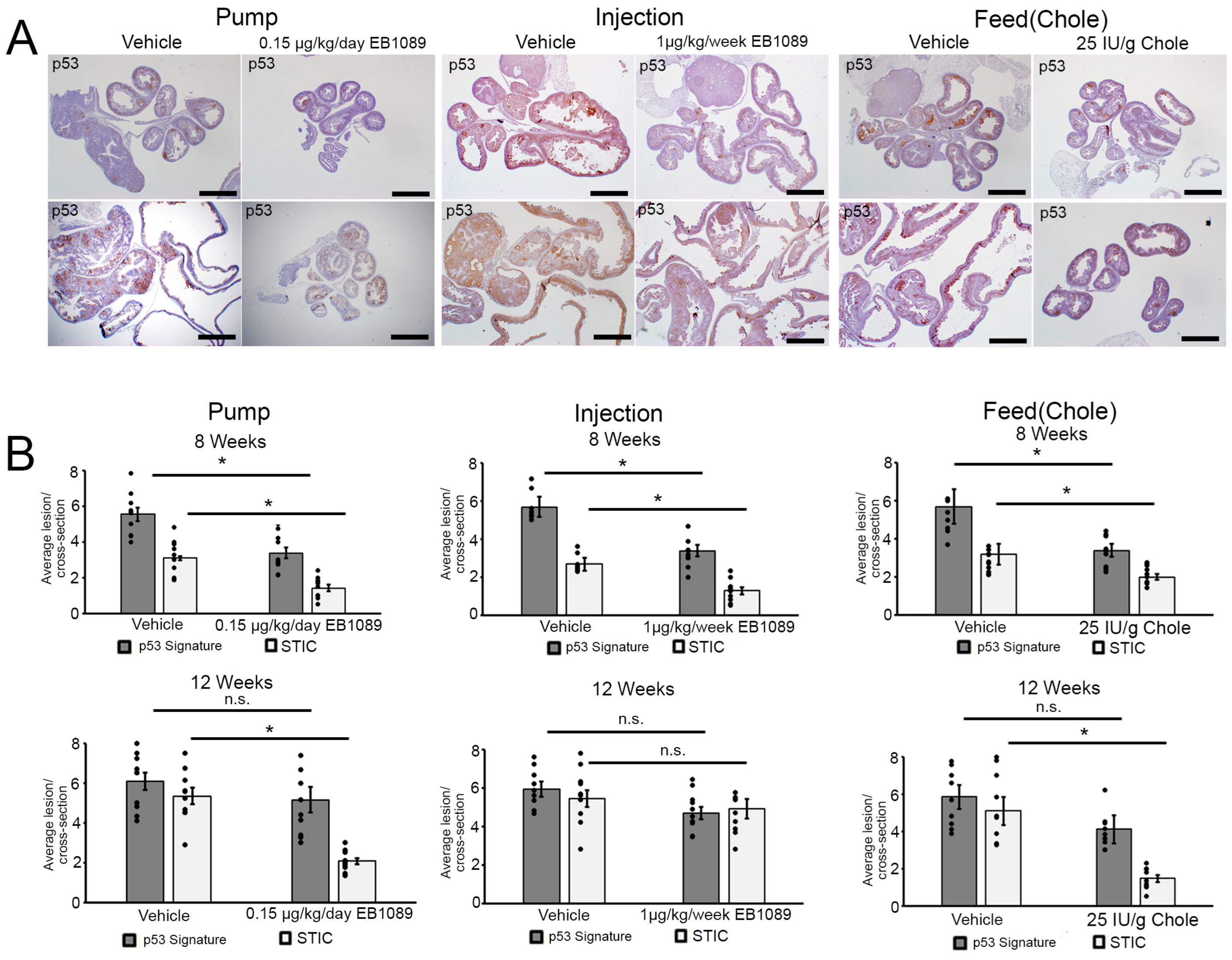 Nutrients 16 03318 g003