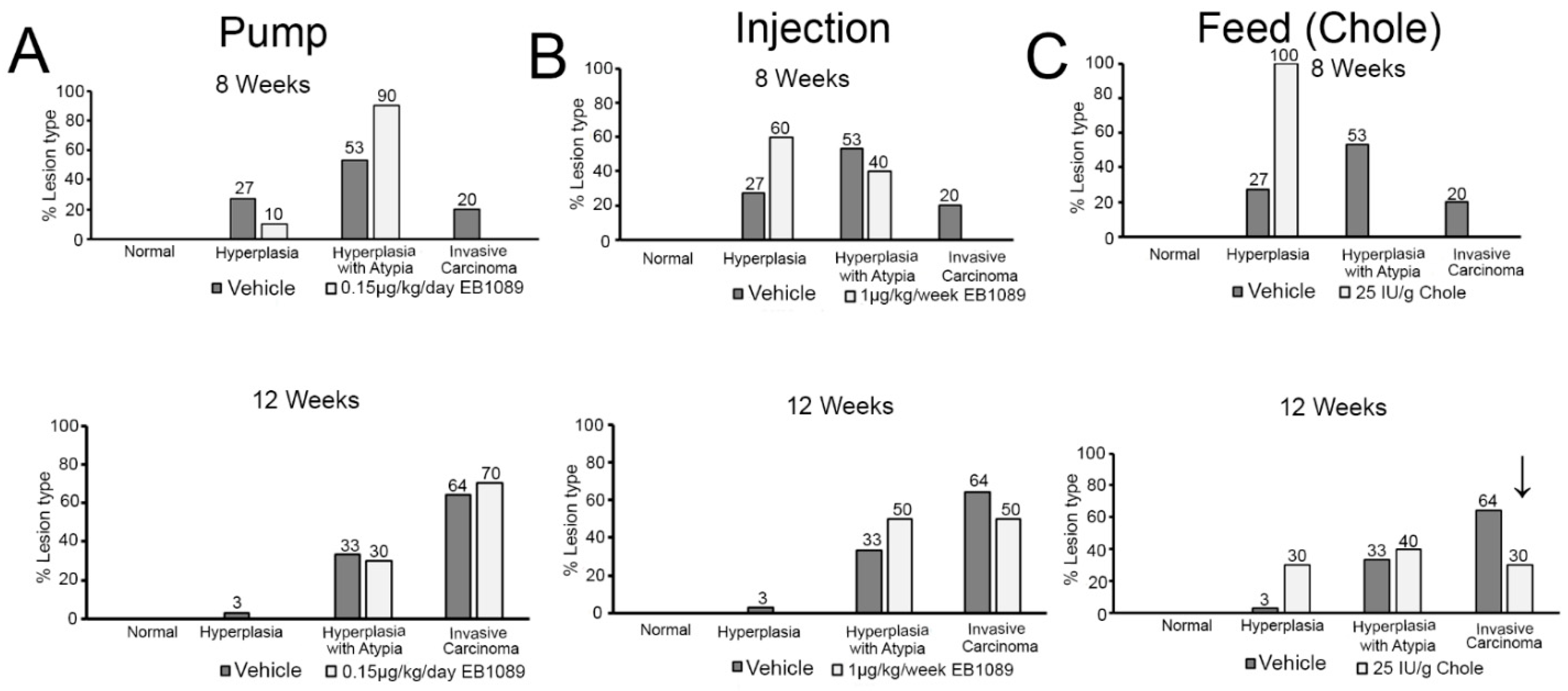 Nutrients 16 03318 g004