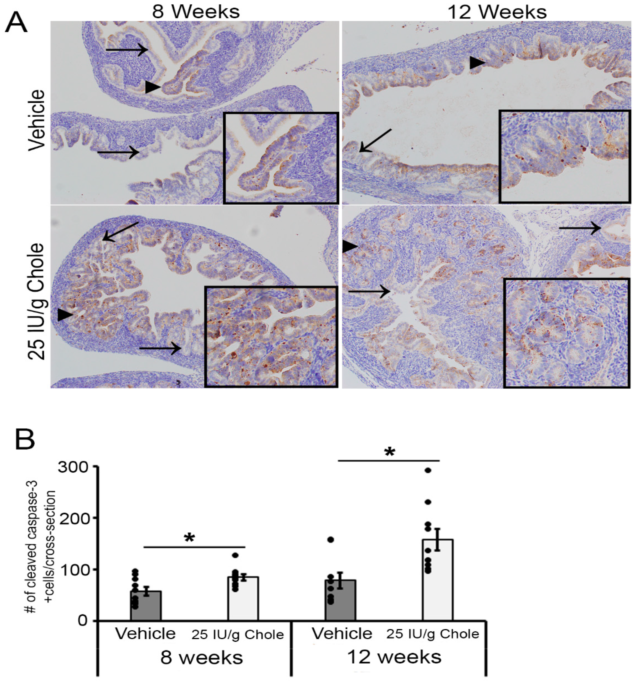 Nutrients 16 03318 g005