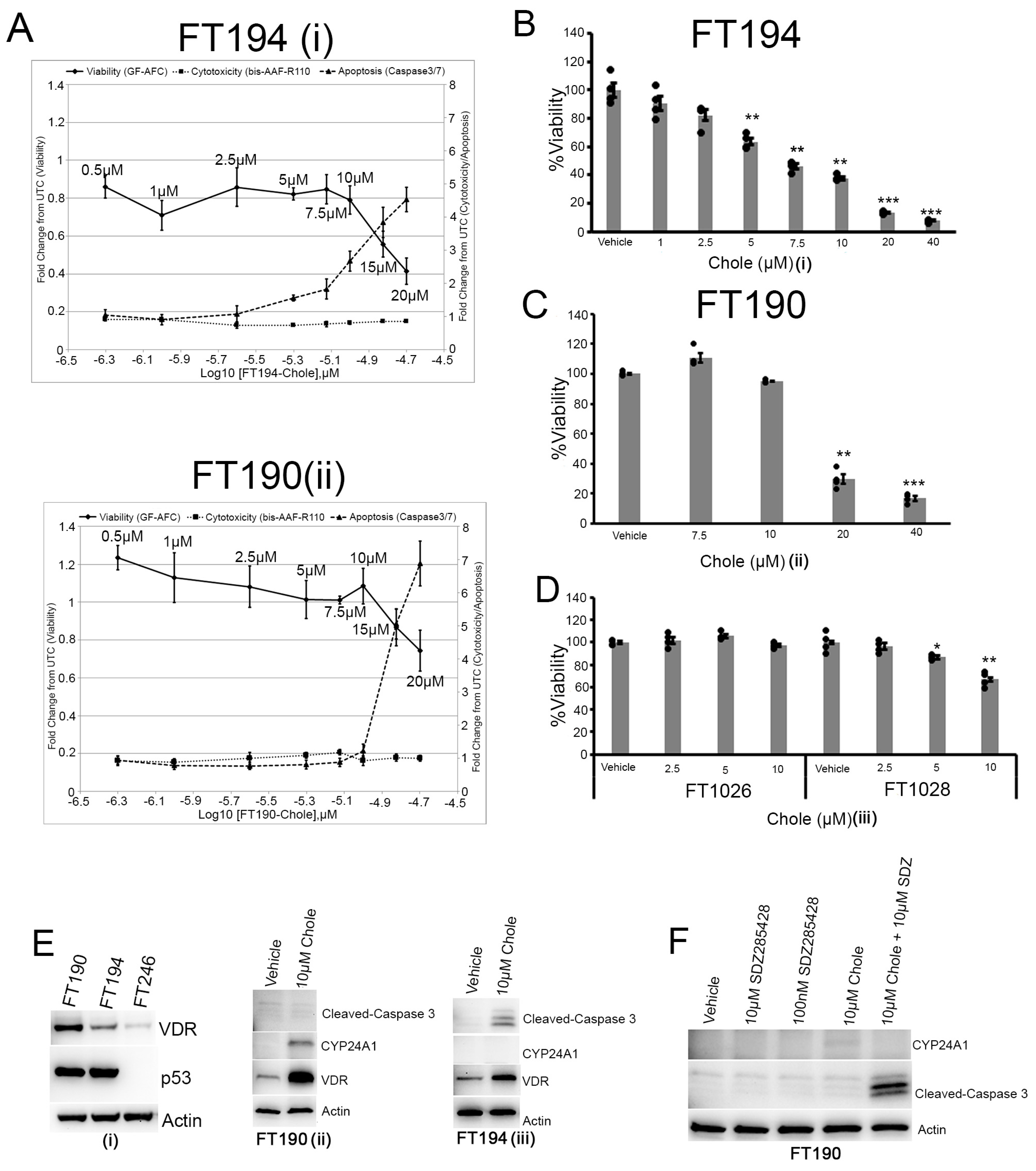 Nutrients 16 03318 g006