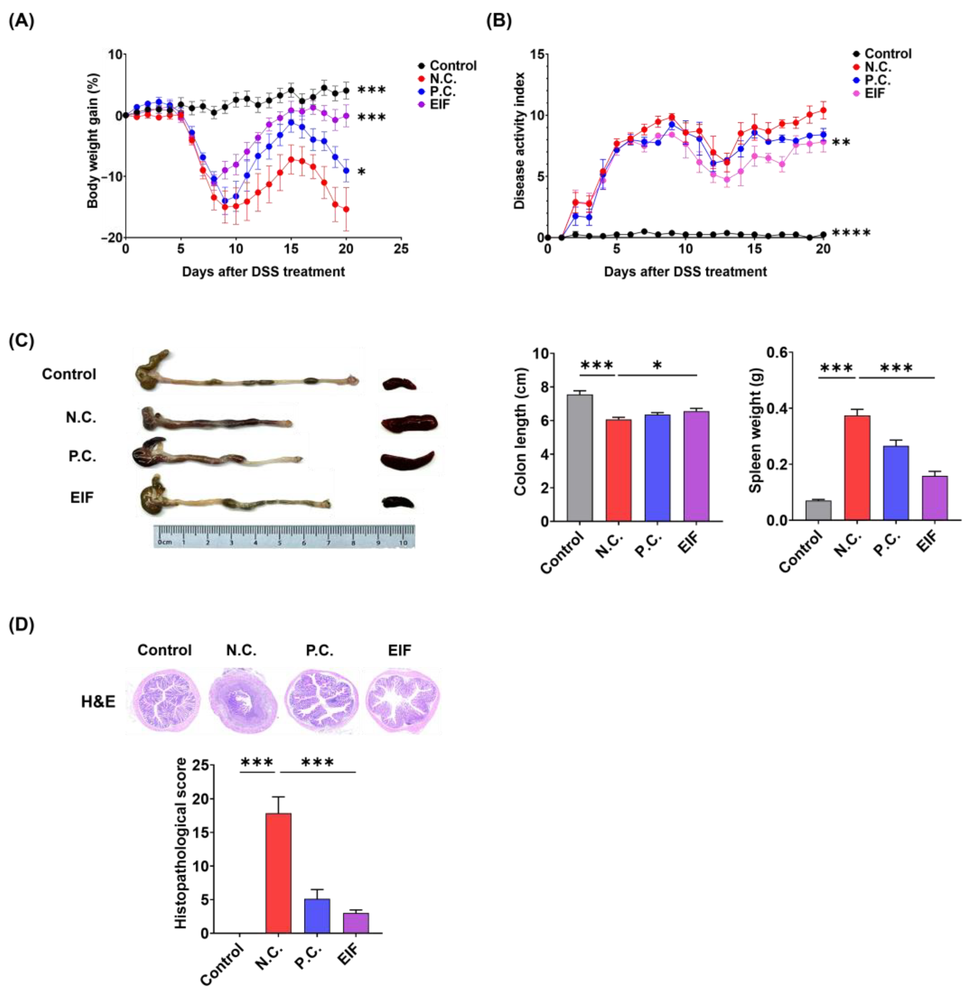 Nutrients 16 03323 g001