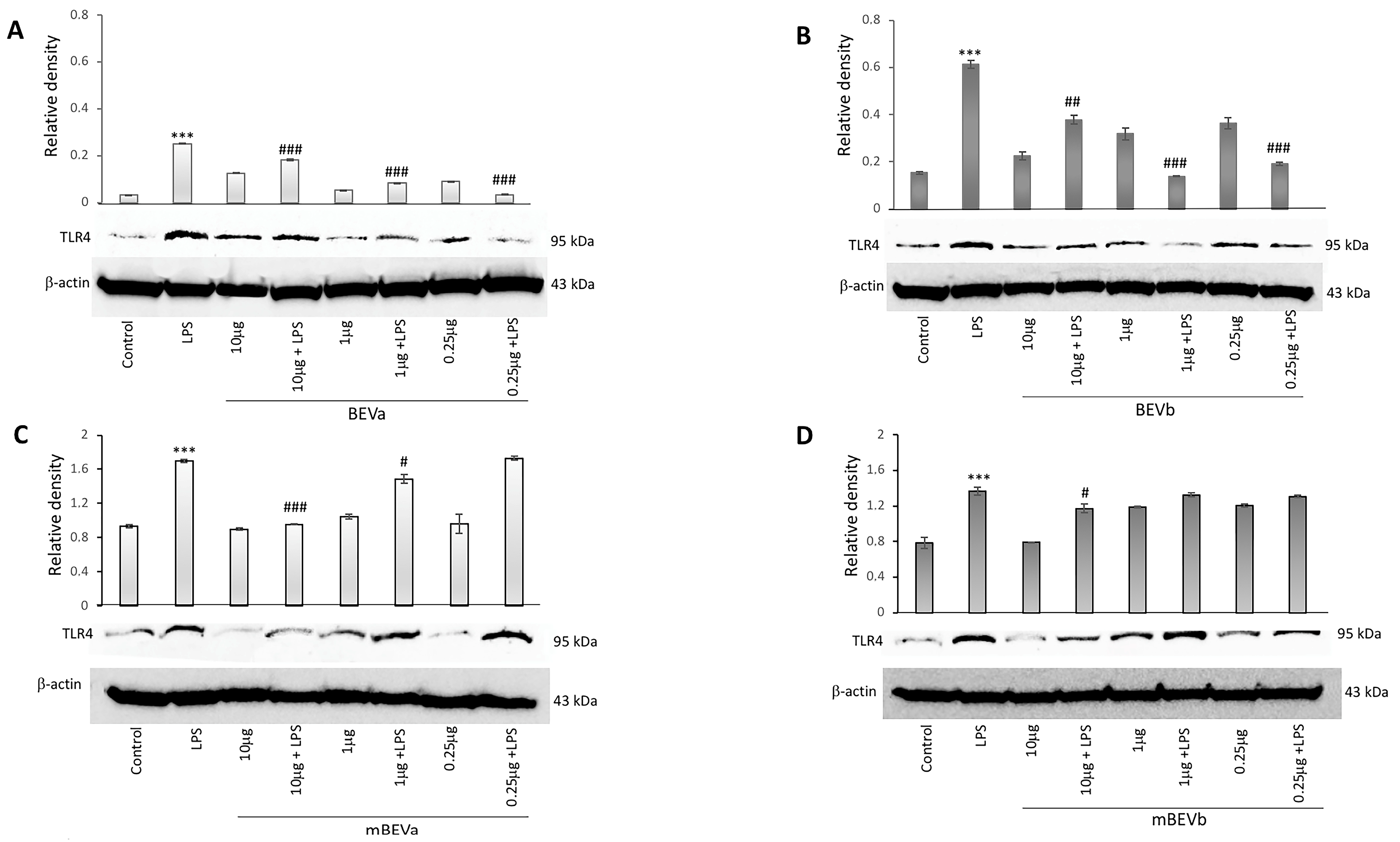Nutrients 16 03327 g002