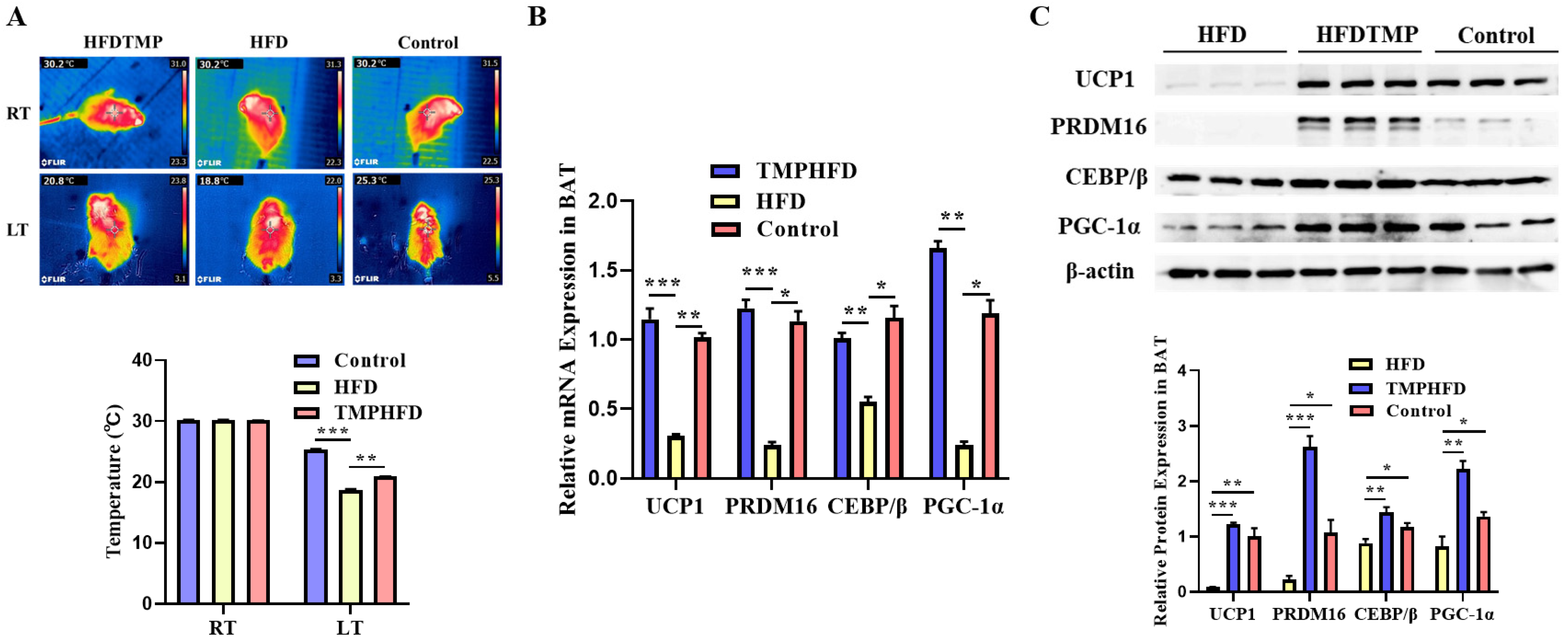 Nutrients 16 03330 g005