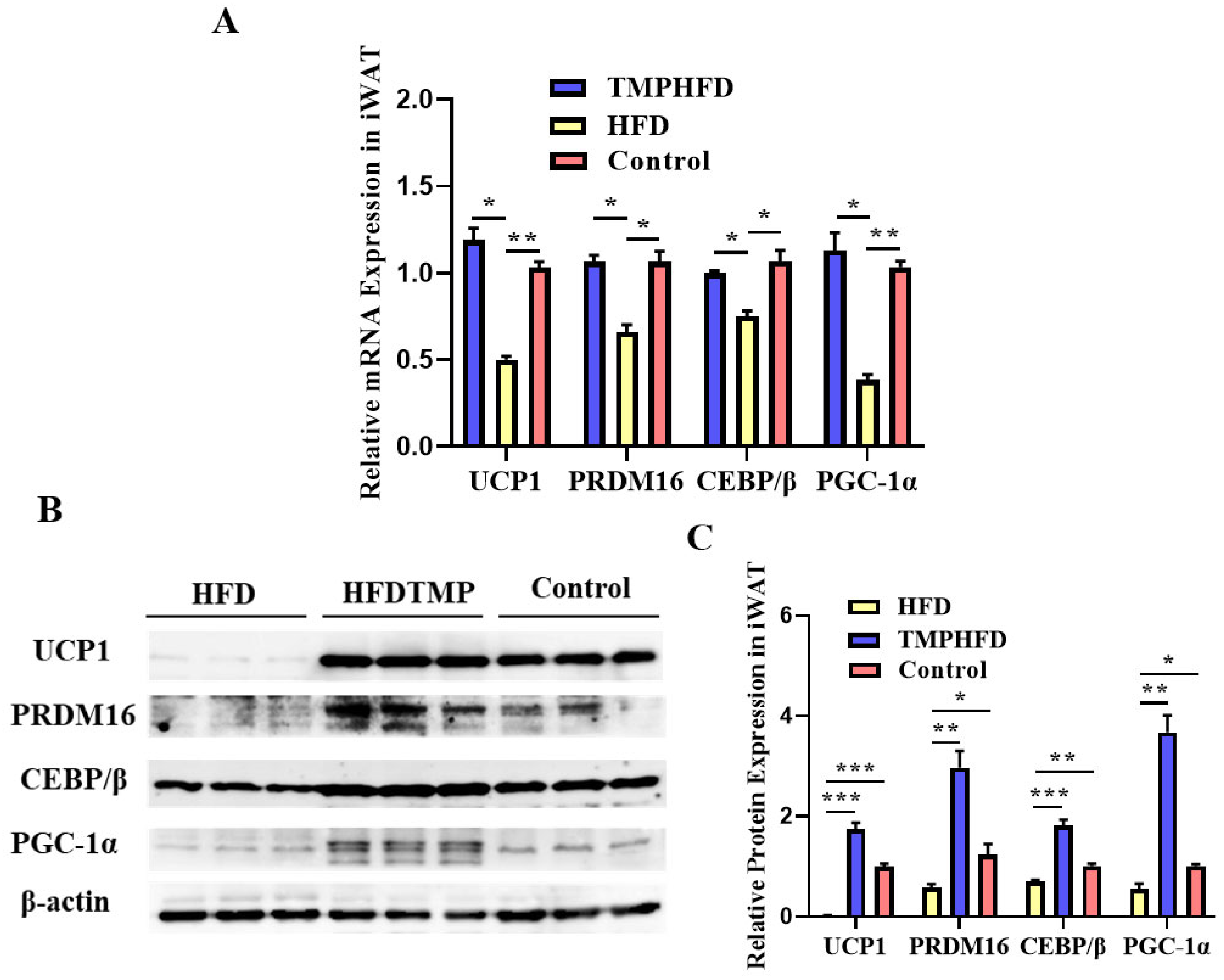 Nutrients 16 03330 g006