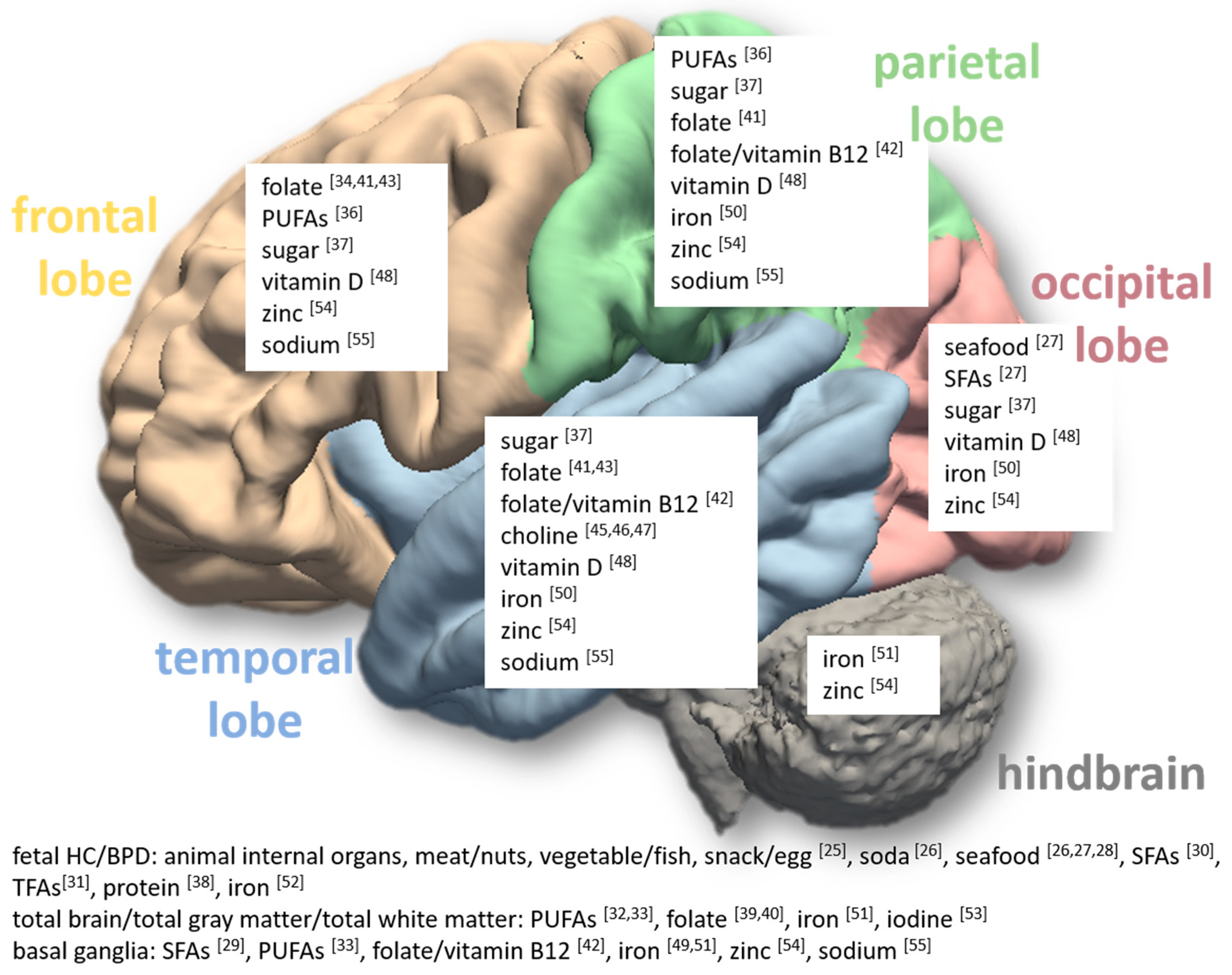 Nutrients 16 03337 g001