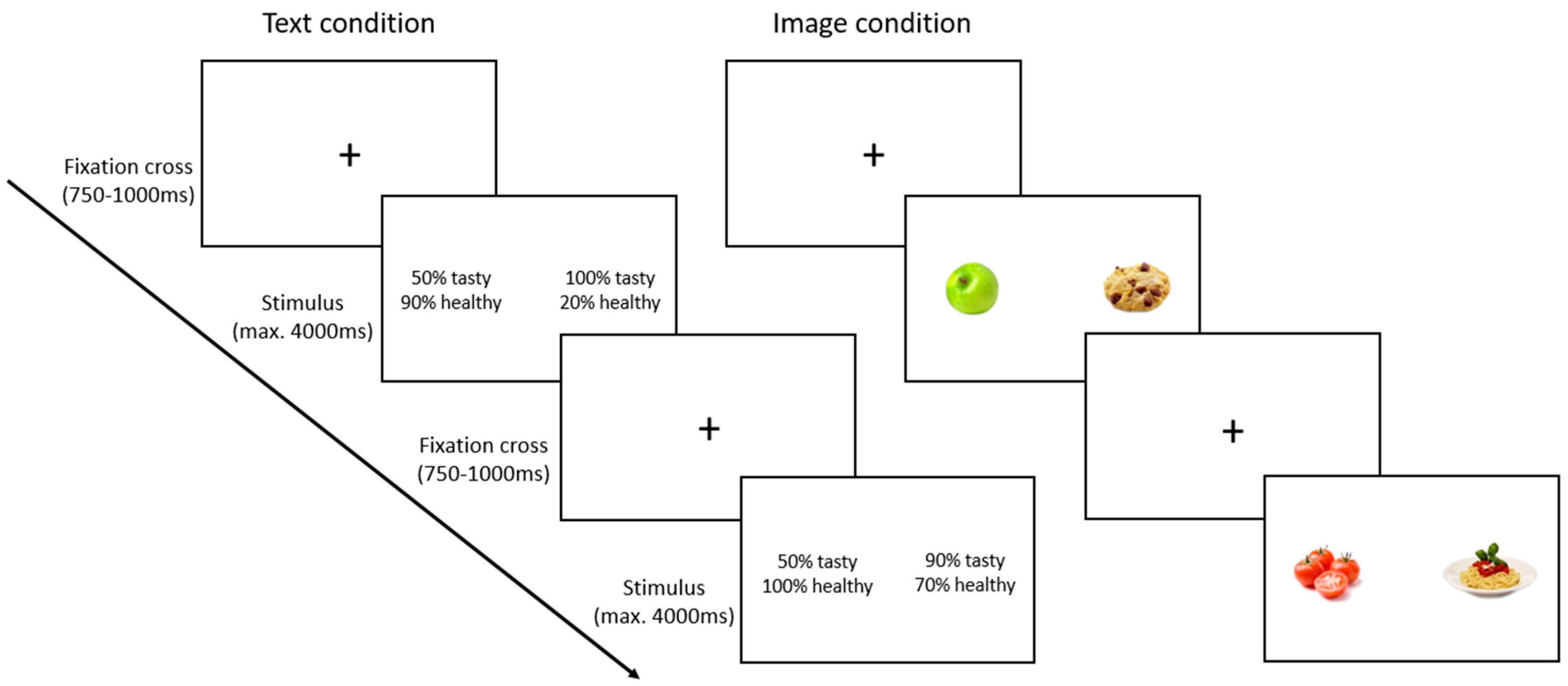 Nutrients 16 03343 g001
