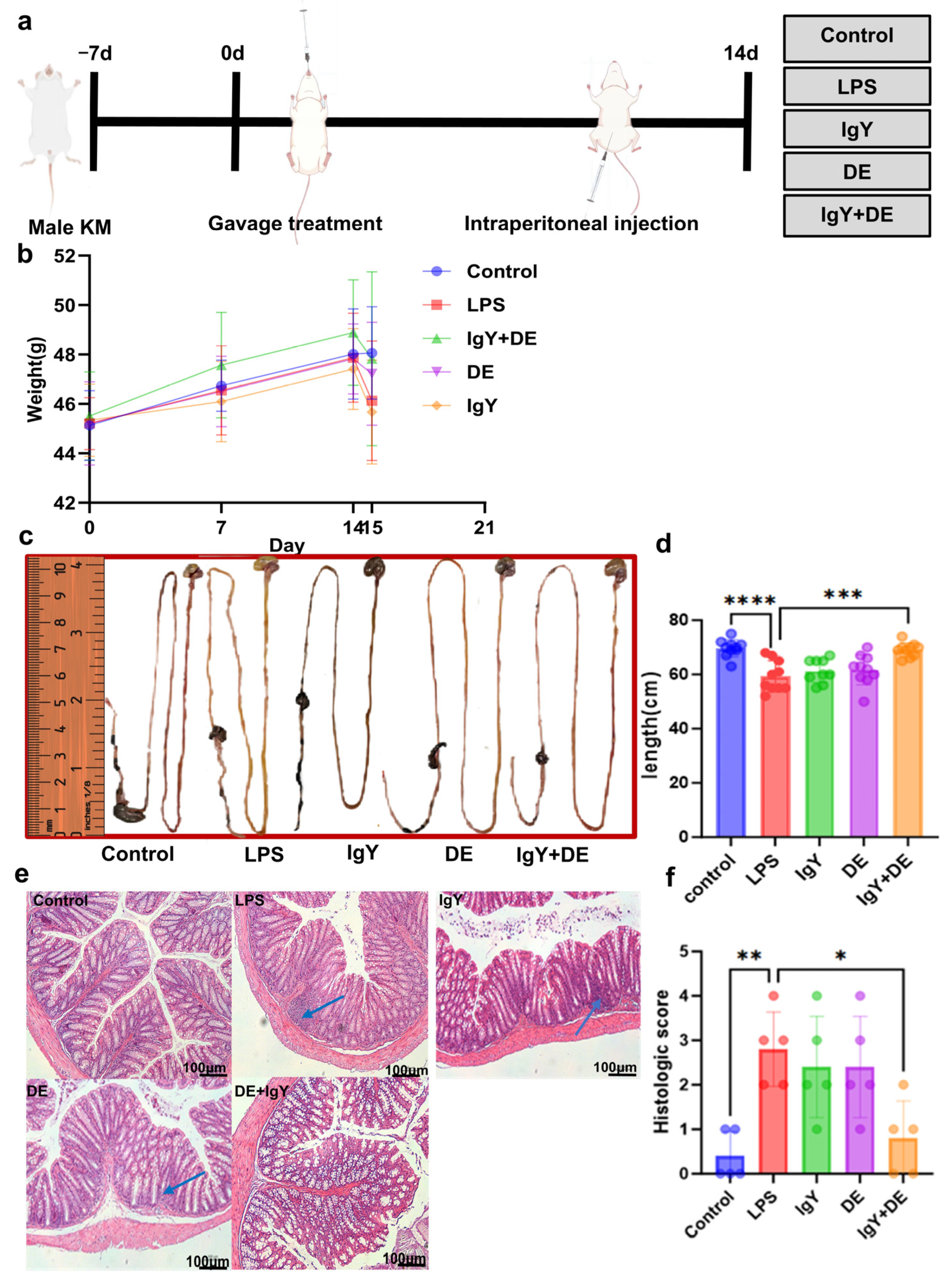 Nutrients 16 03361 g004