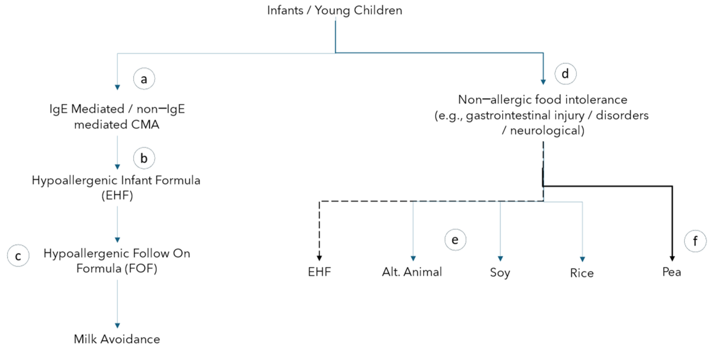 Nutrients 16 03365 g001