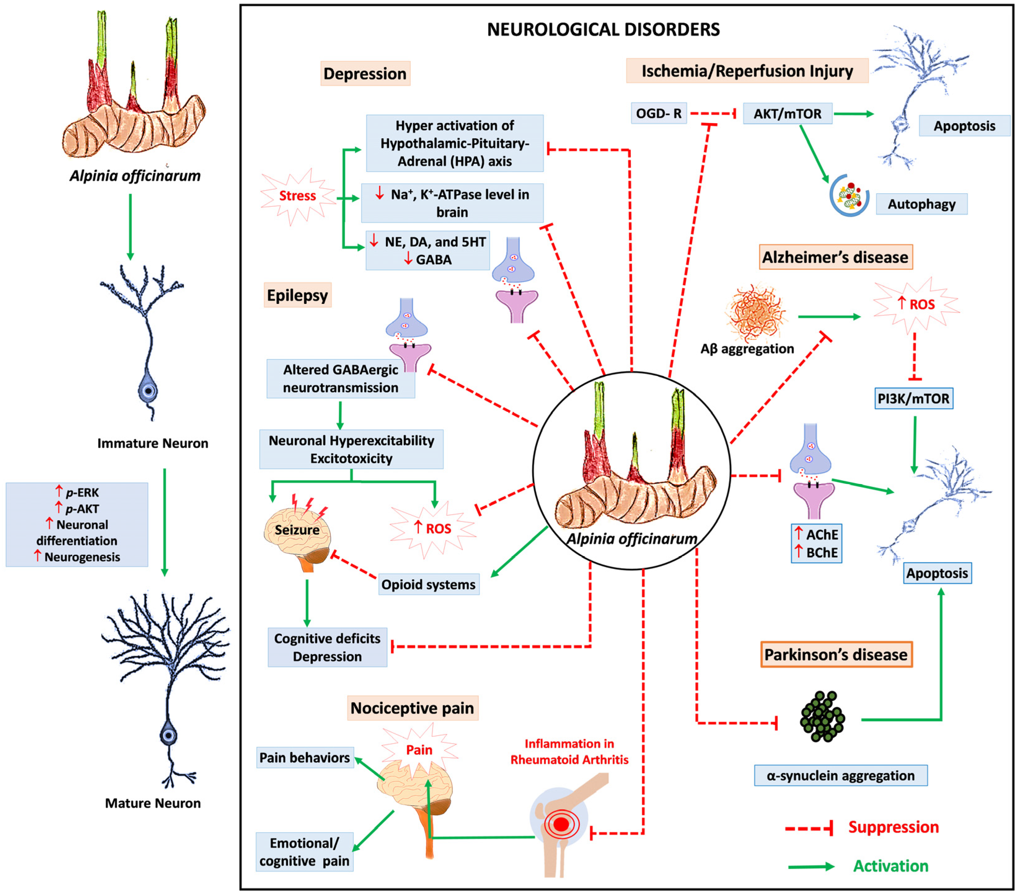 Nutrients 16 03378 g004