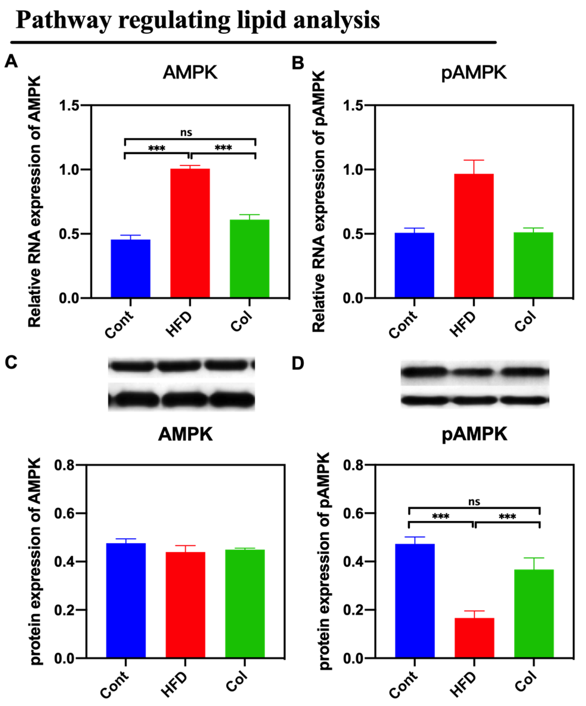 Nutrients 16 03379 g006