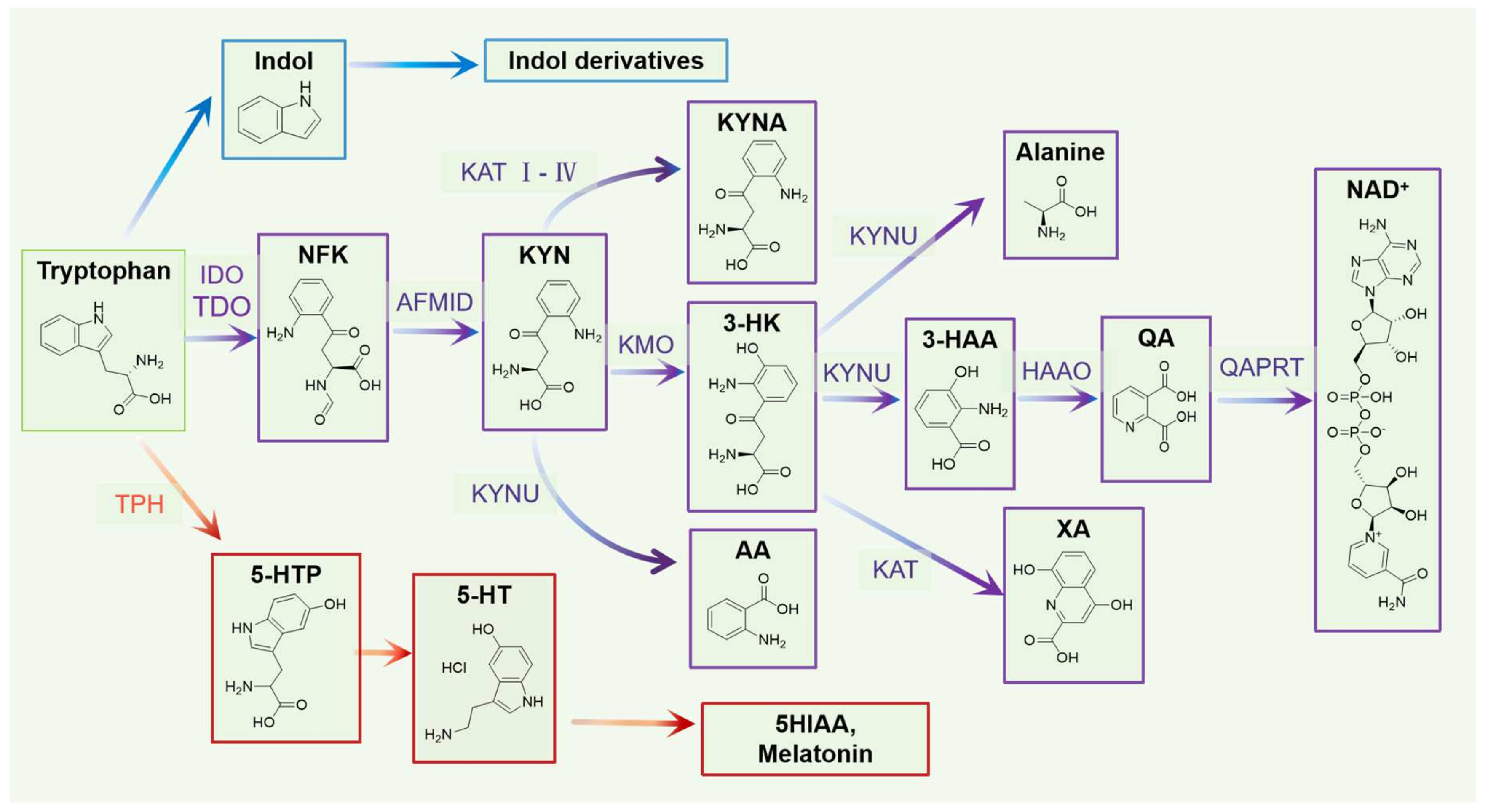 Nutrients 16 03380 g005