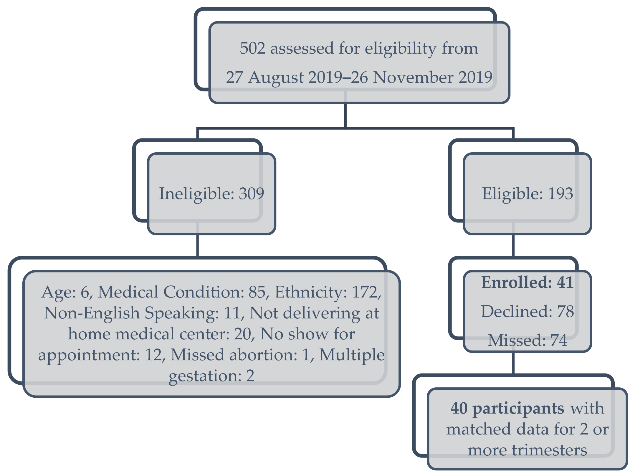 Nutrients 16 03405 g001