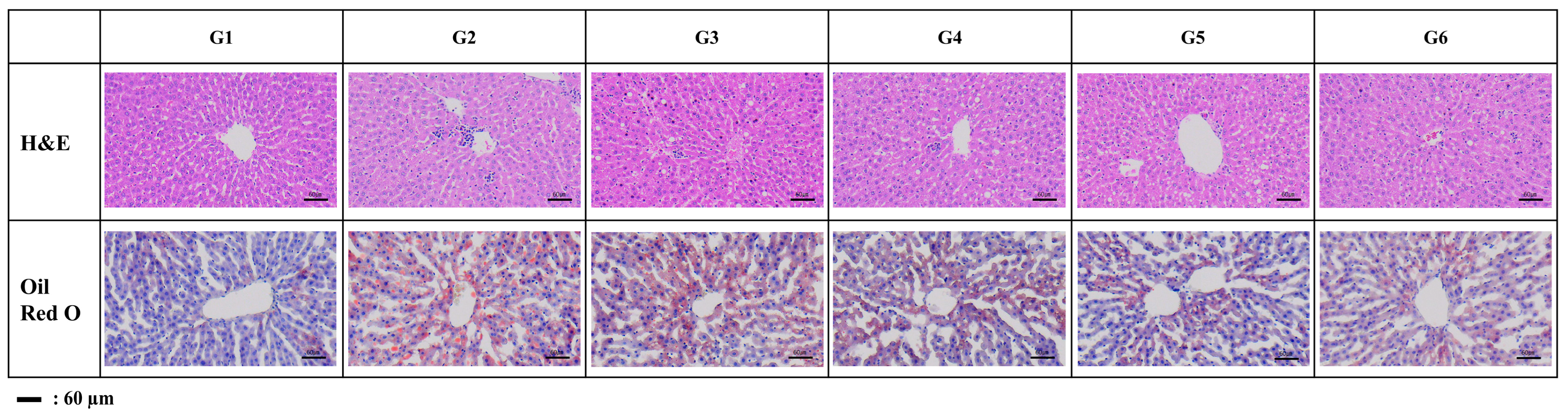 Nutrients 16 03406 g004