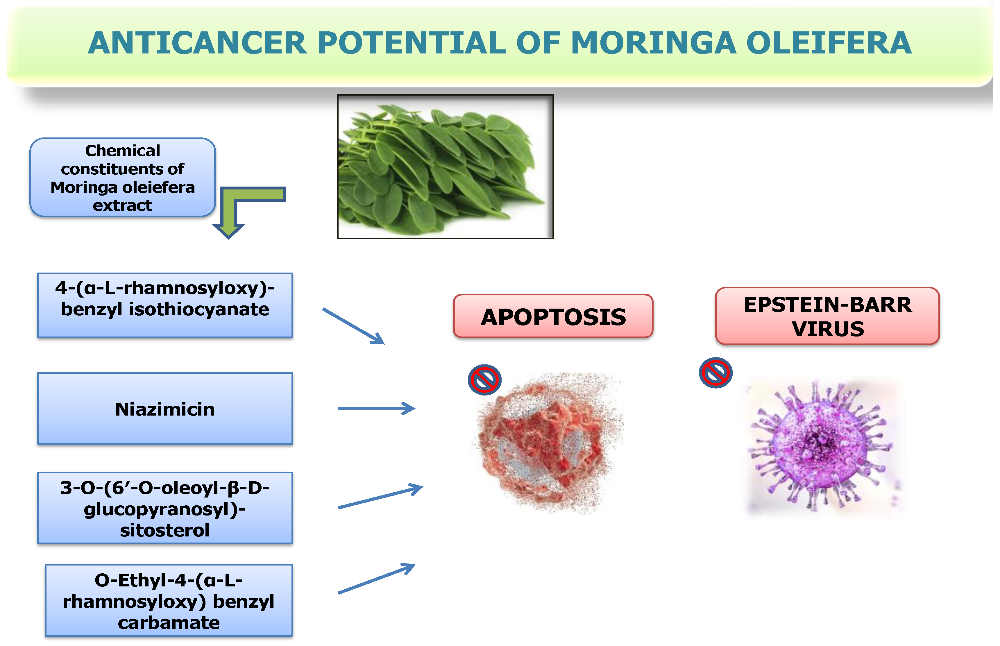 Nutrients 16 03423 g003