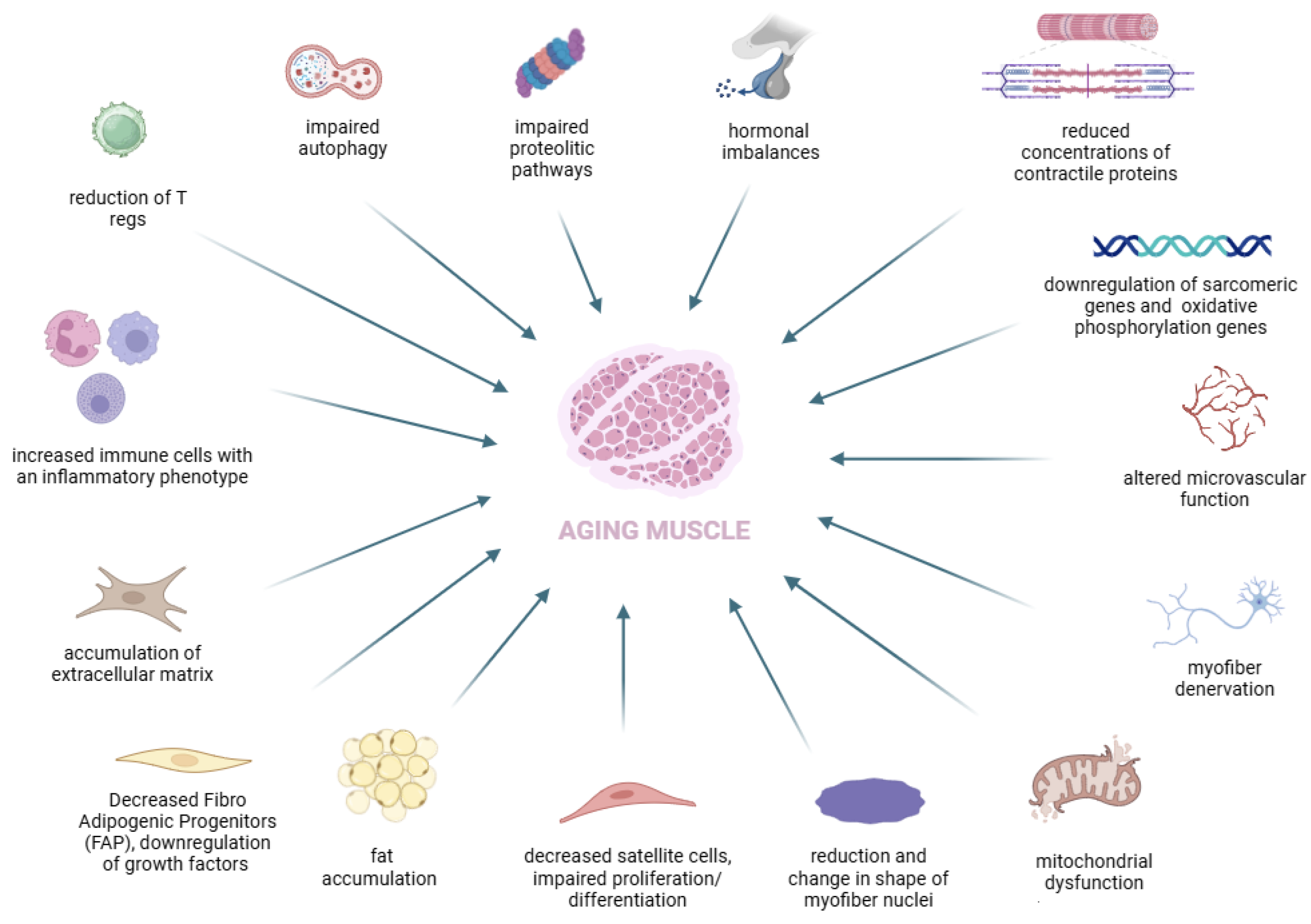 Nutrients 16 03428 g001 Nutrients 16 03428 g001