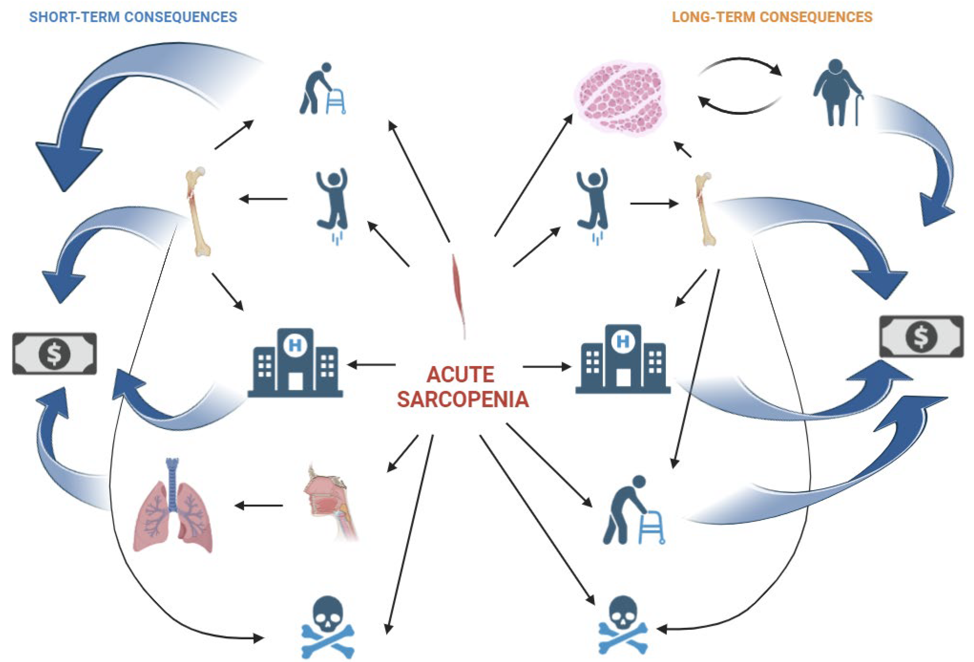 Nutrients 16 03428 g004a Nutrients 16 03428 g004a