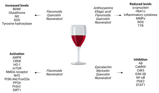 The Potential Effects of Red Wine and Its Components on Neurocognitive  Disorders: A Narrative Review