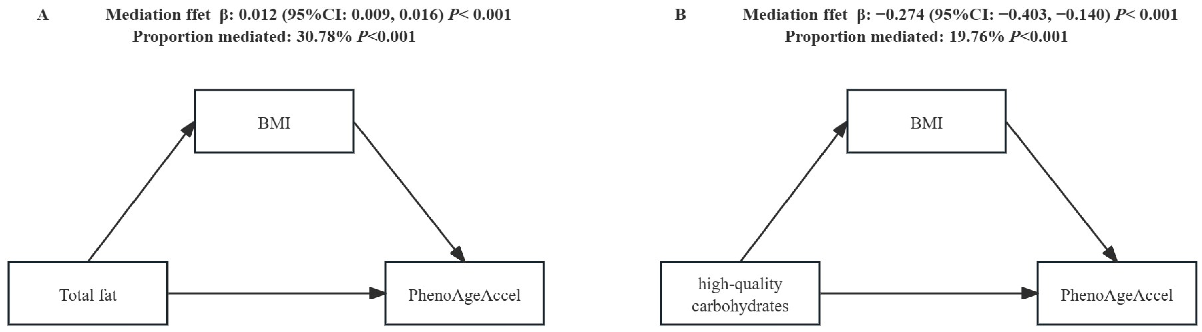 Nutrients 16 03436 g001 Nutrients 16 03436 g001