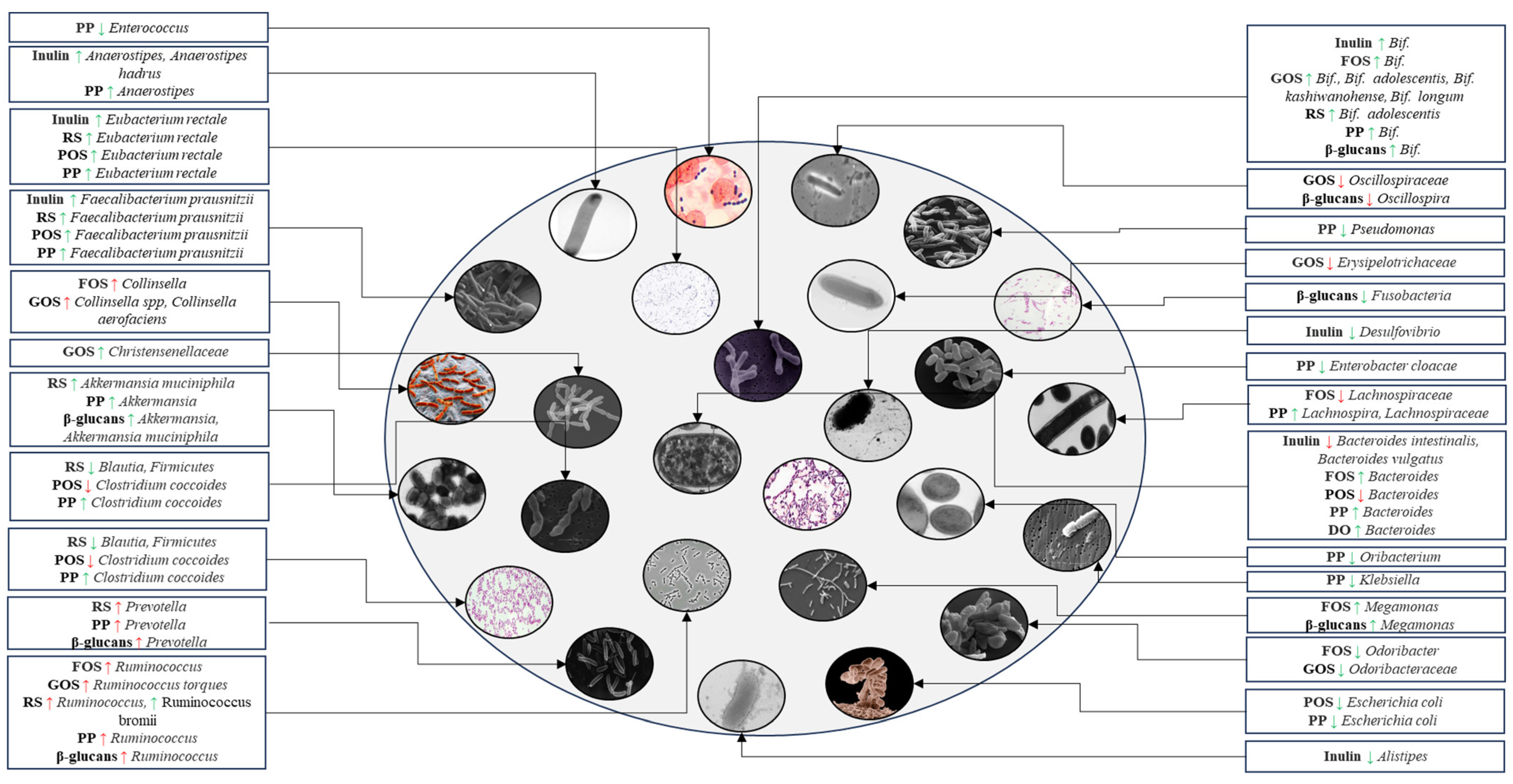 Nutrients 16 03447 g005
