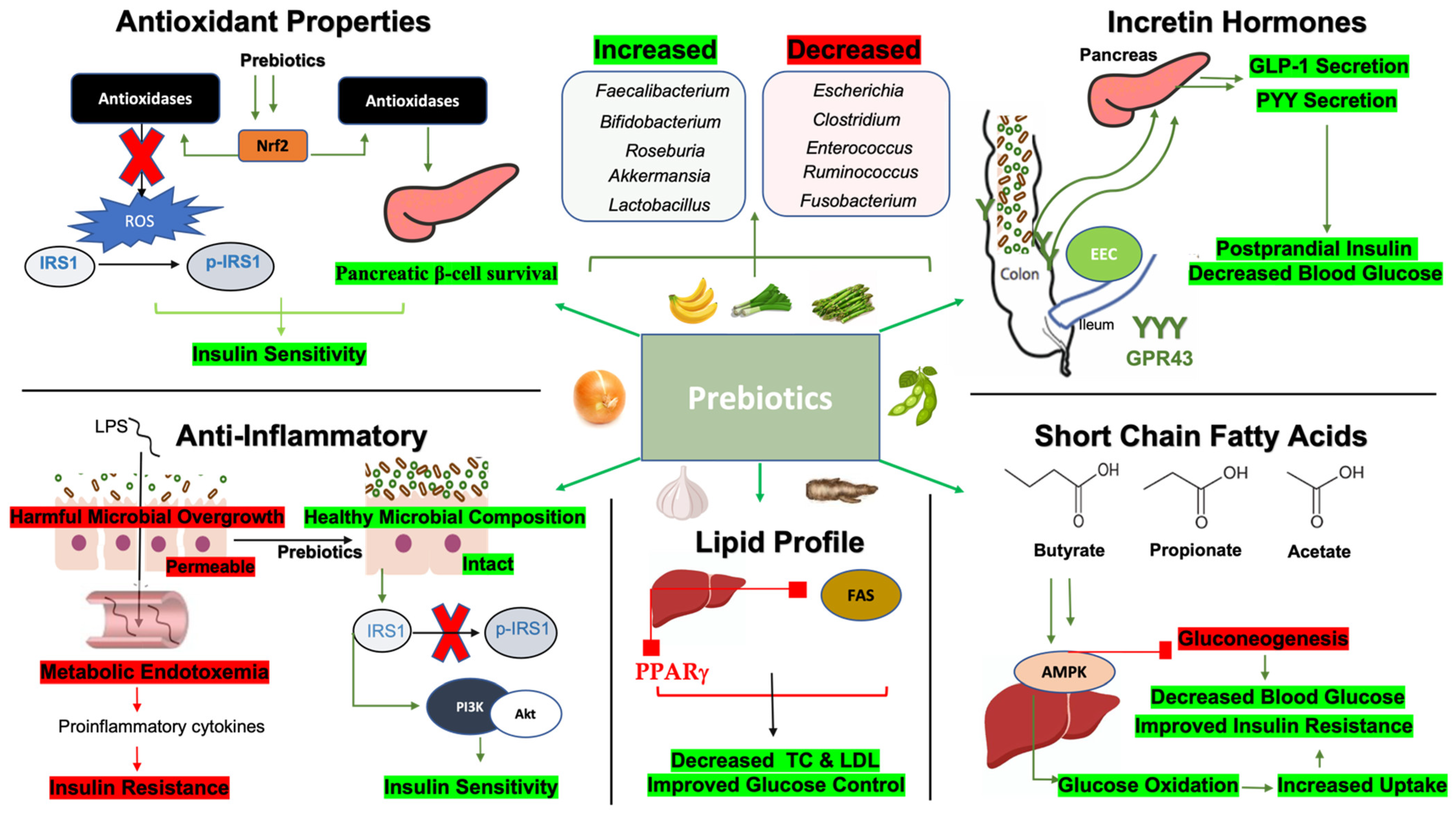 Nutrients 16 03447 g006
