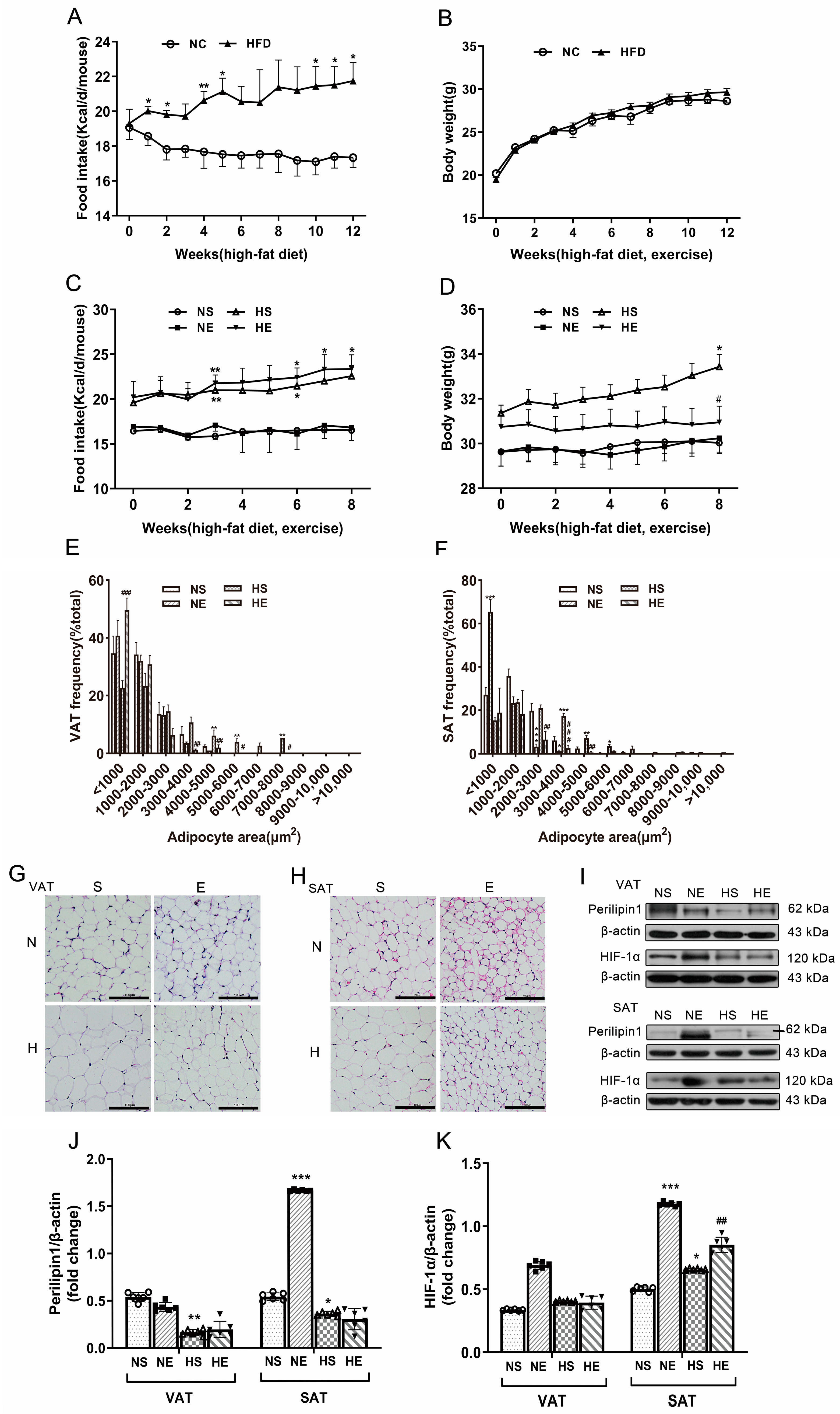 Nutrients 16 03451 g001