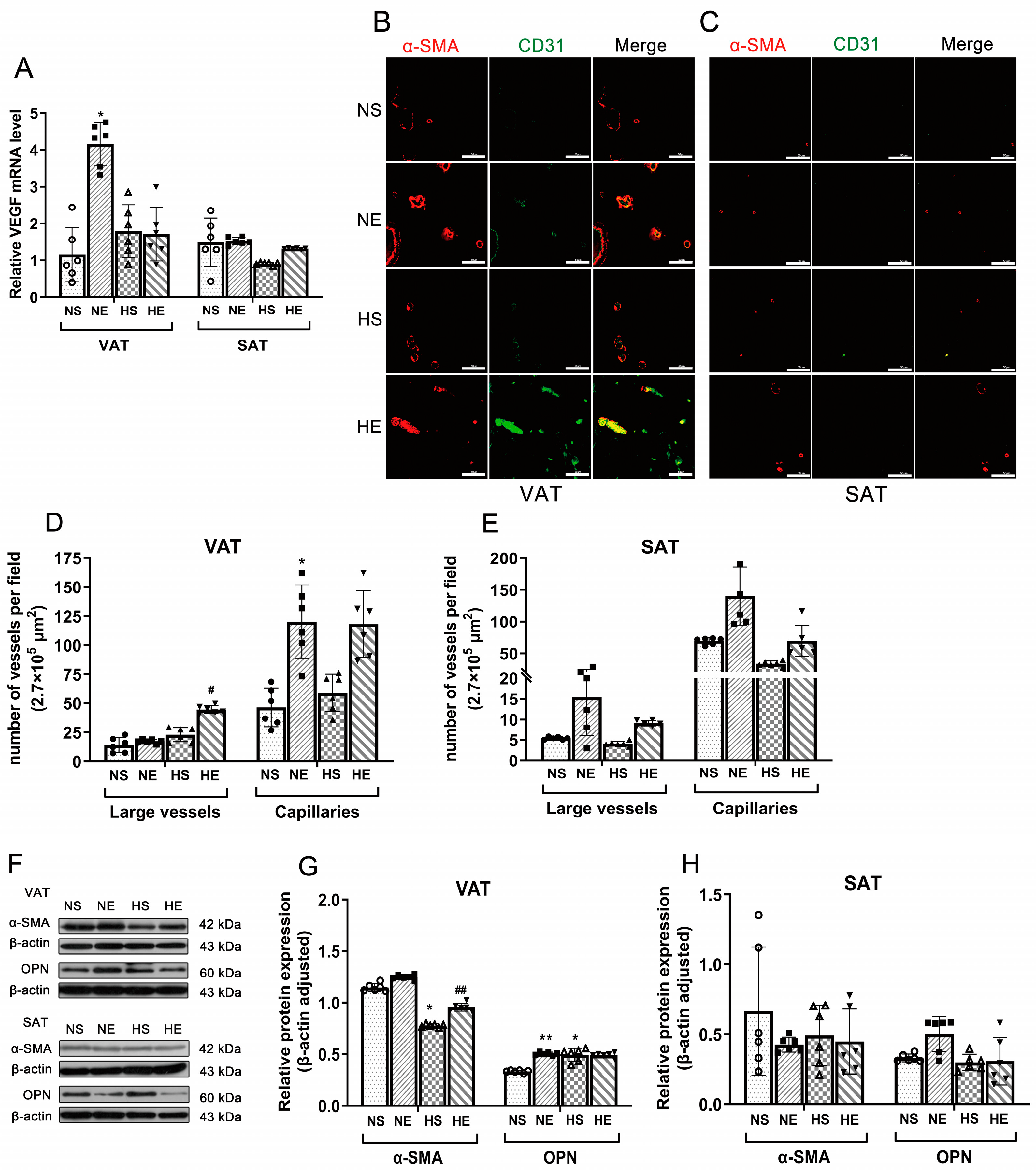 Nutrients 16 03451 g003