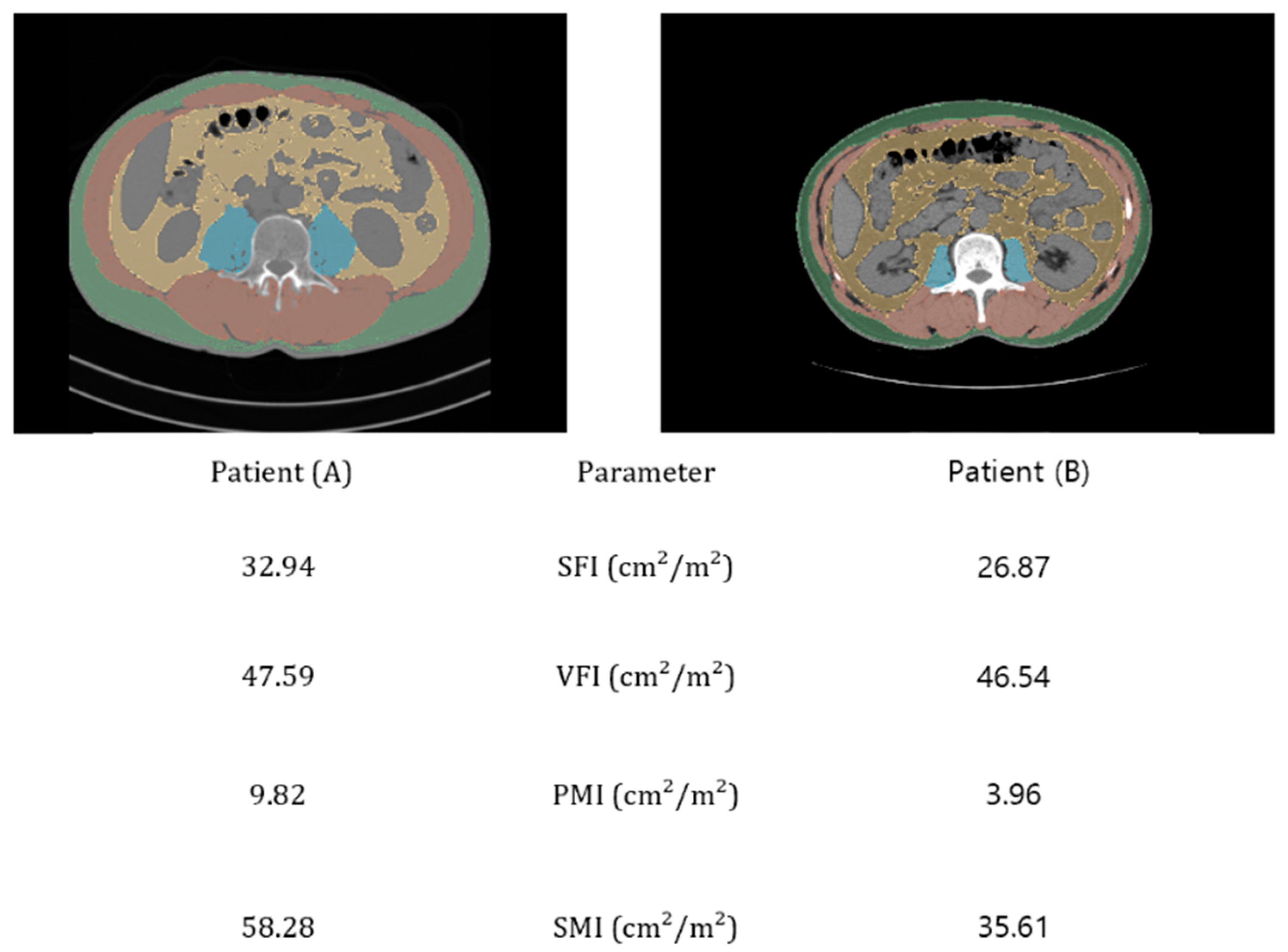 Nutrients 16 03468 g001