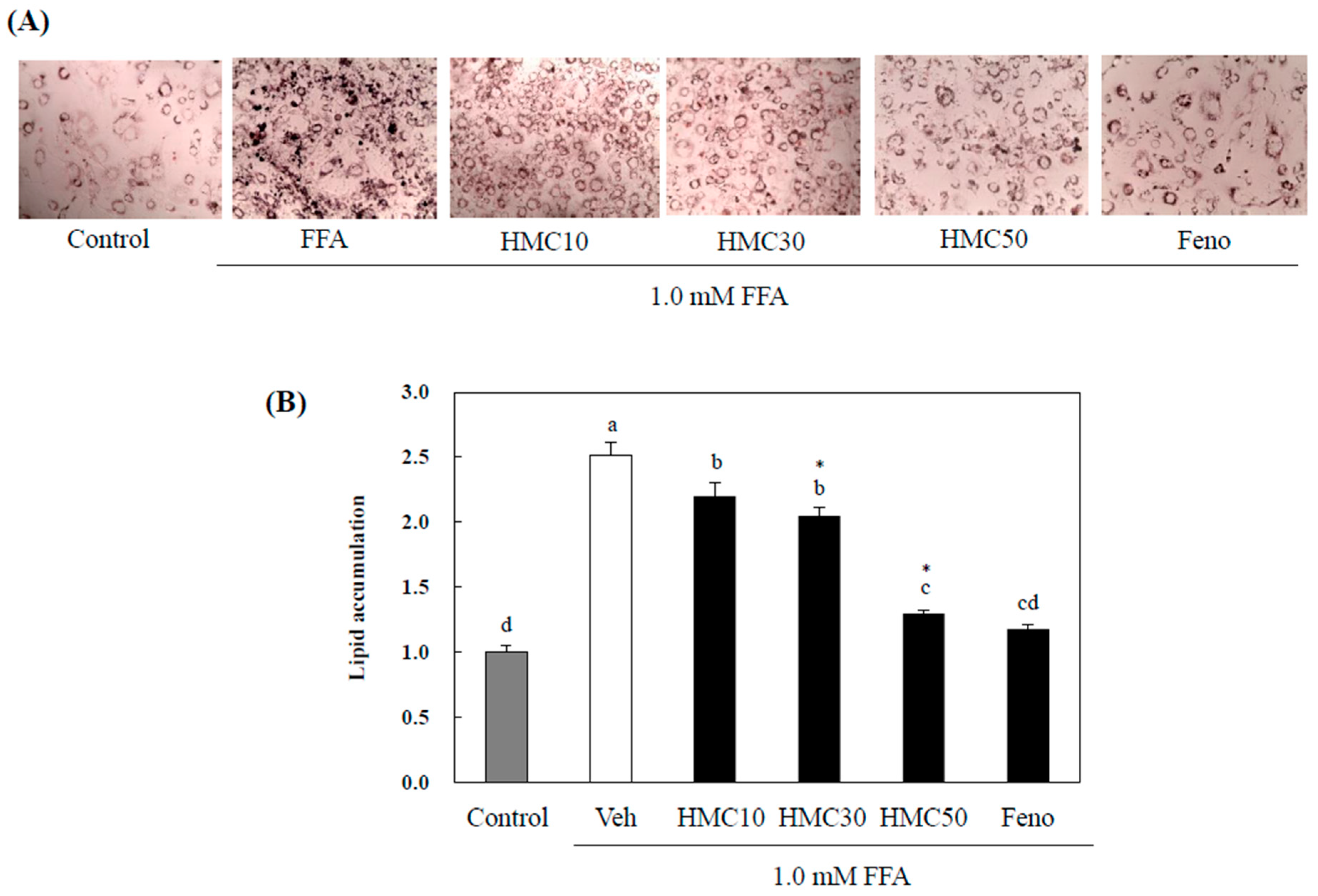 Nutrients 16 03475 g003