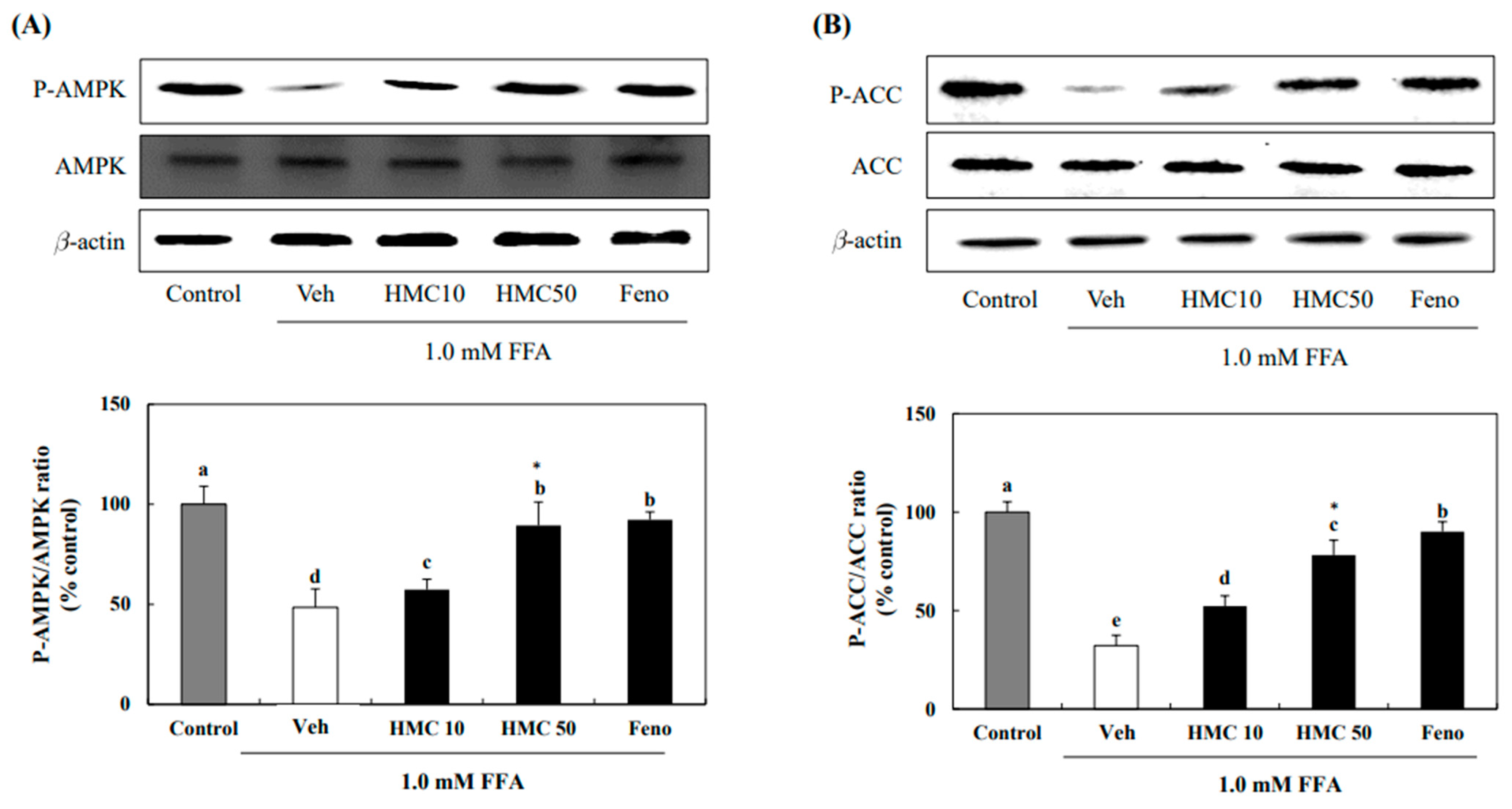 Nutrients 16 03475 g005