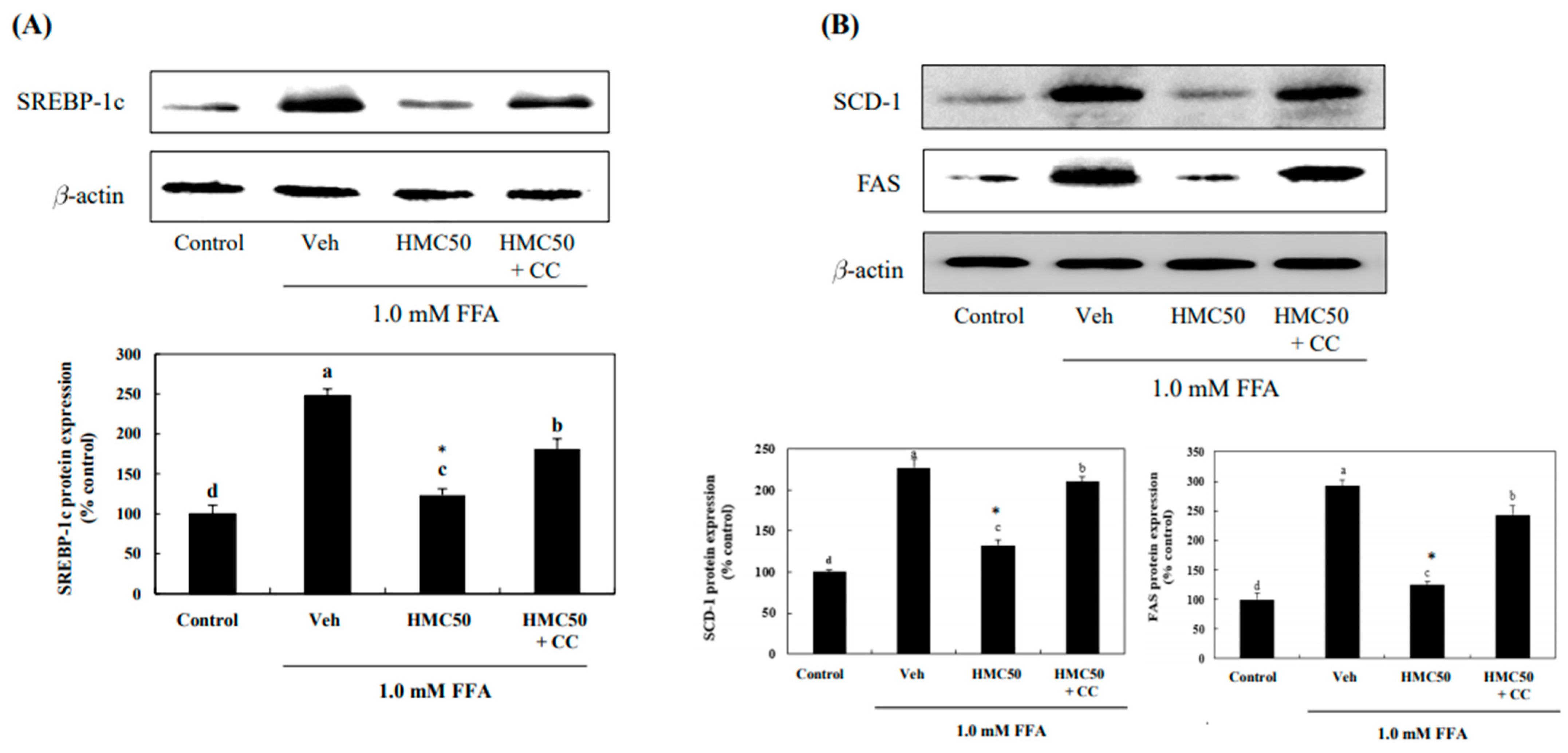Nutrients 16 03475 g006