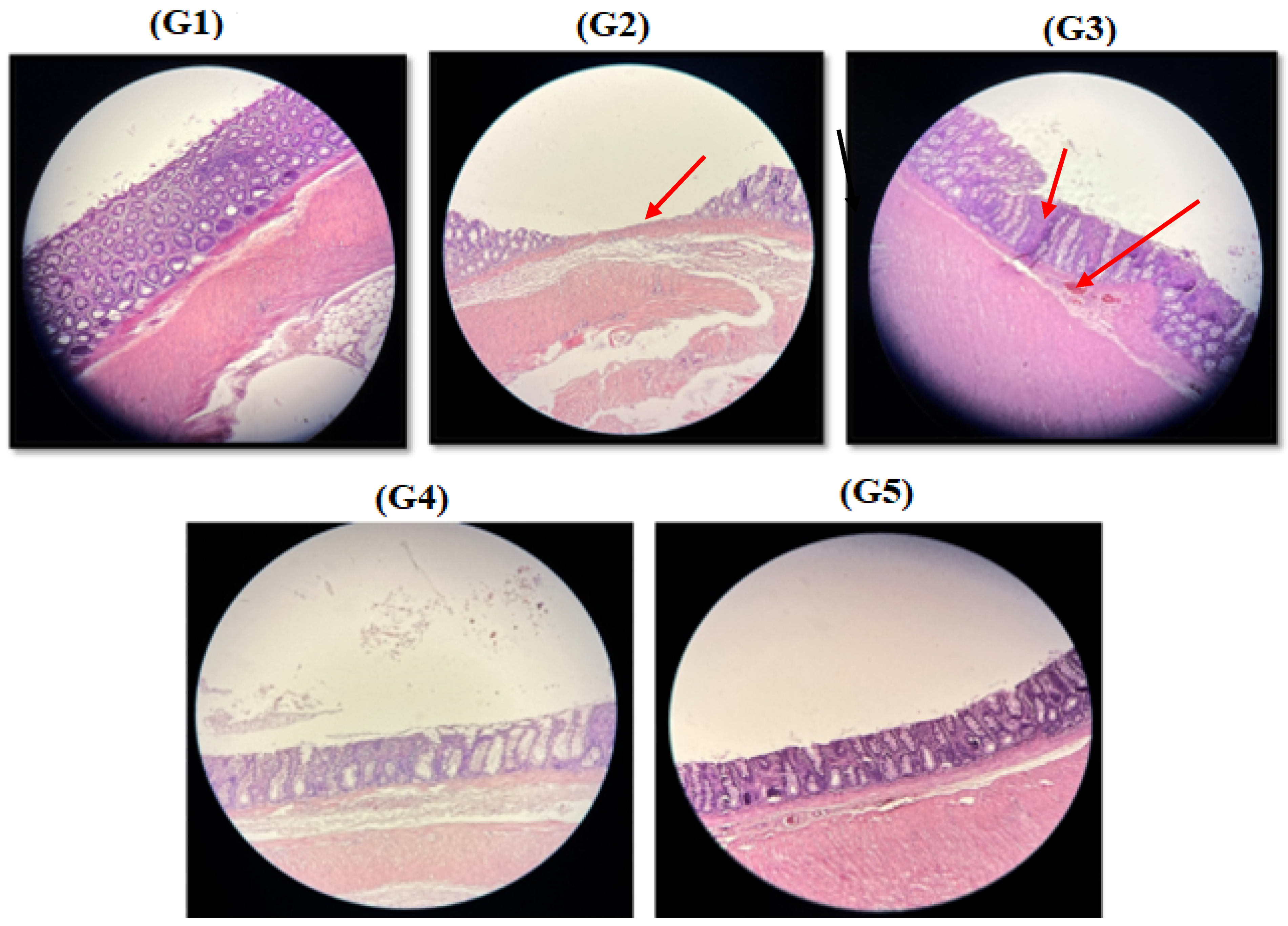 Nutrients 16 03478 g004