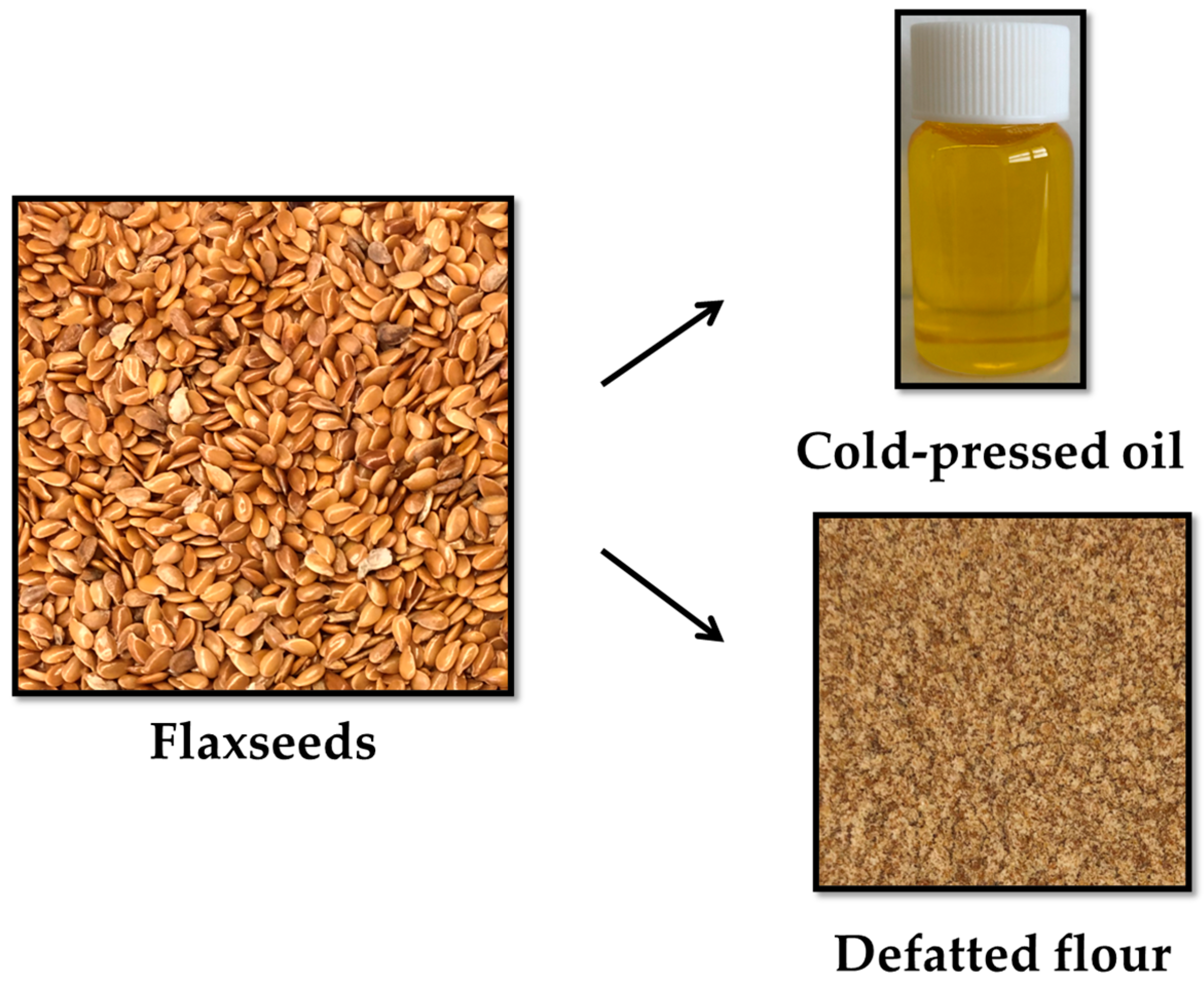 Nutrients 16 03482 g001
