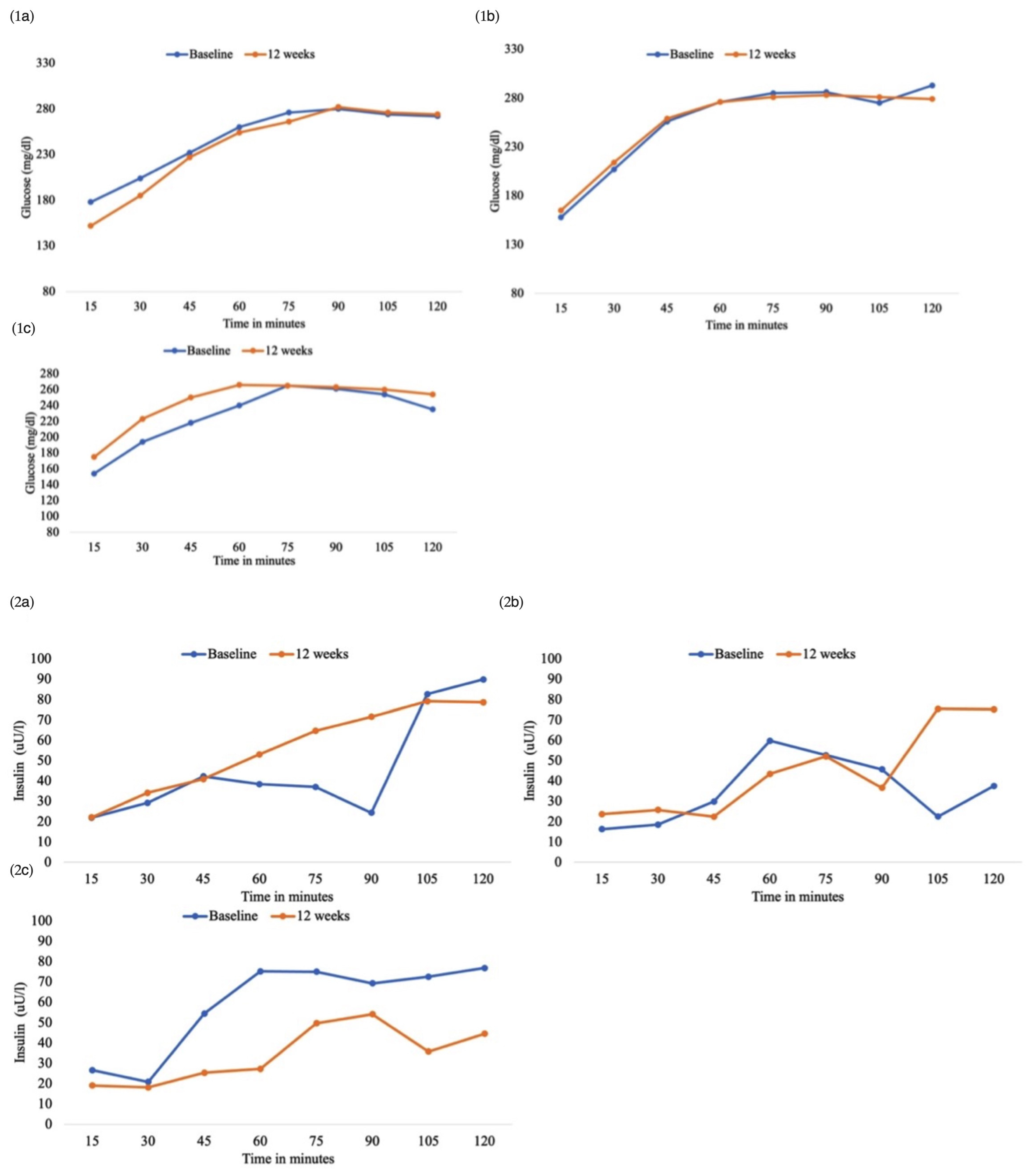 Nutrients 16 03491 g001