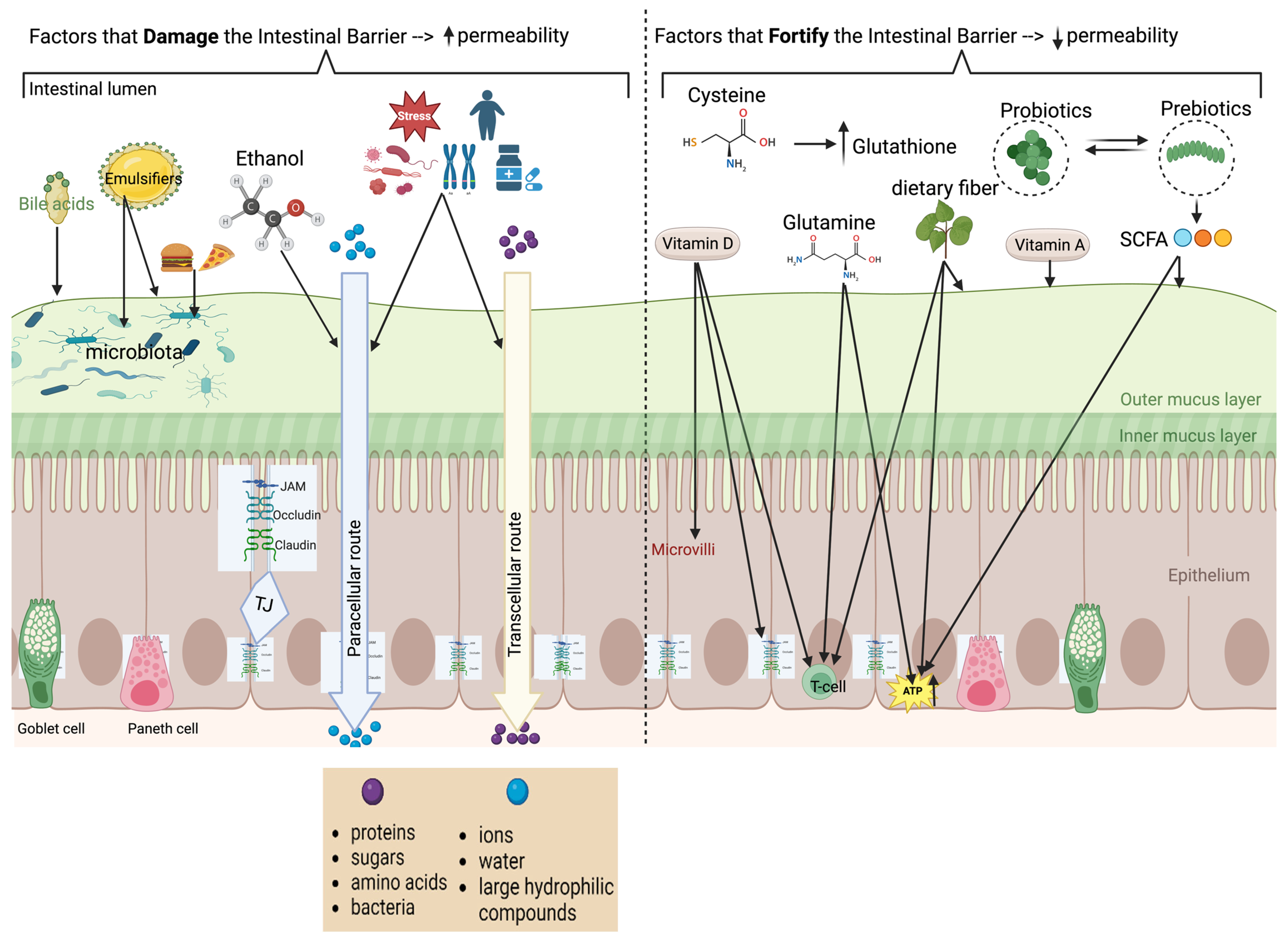 Nutrients 16 03494 g001