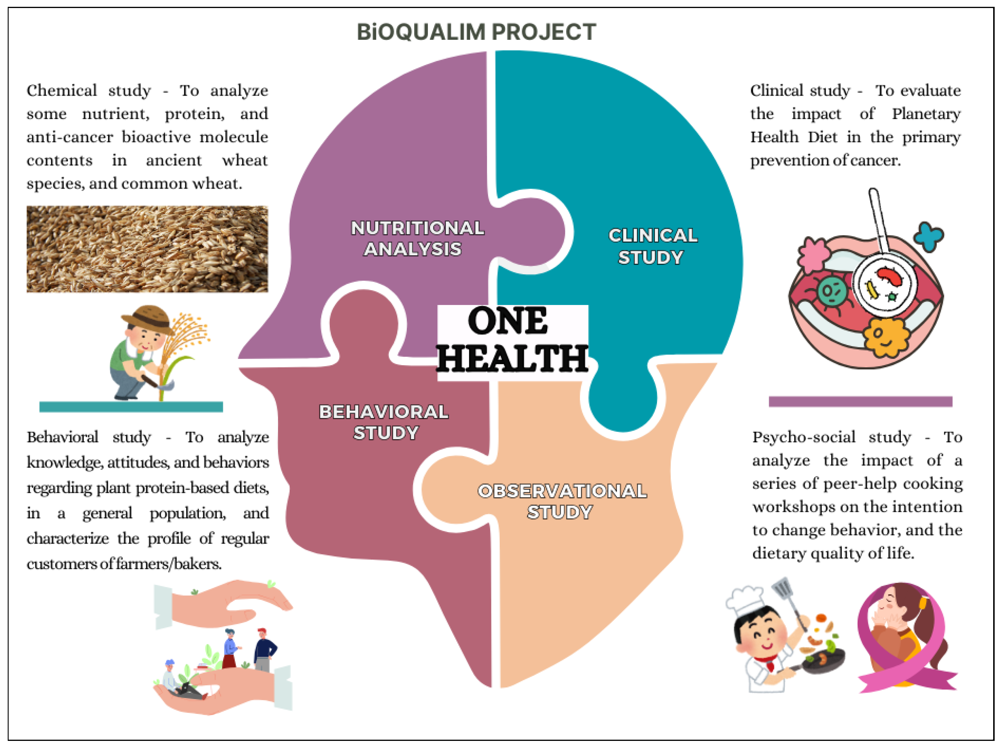 Nutrients 16 03495 g001