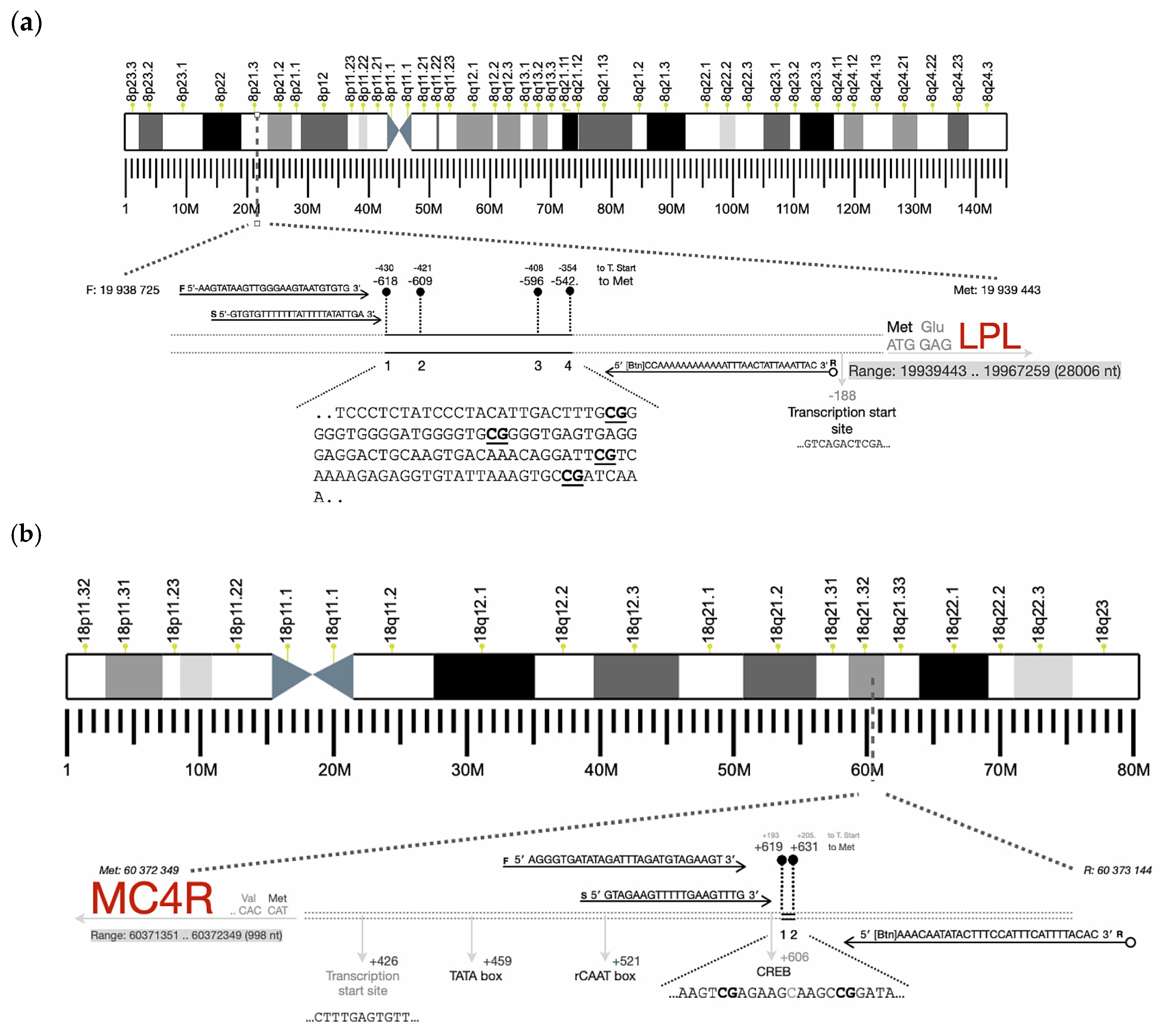 Nutrients 16 03502 g001