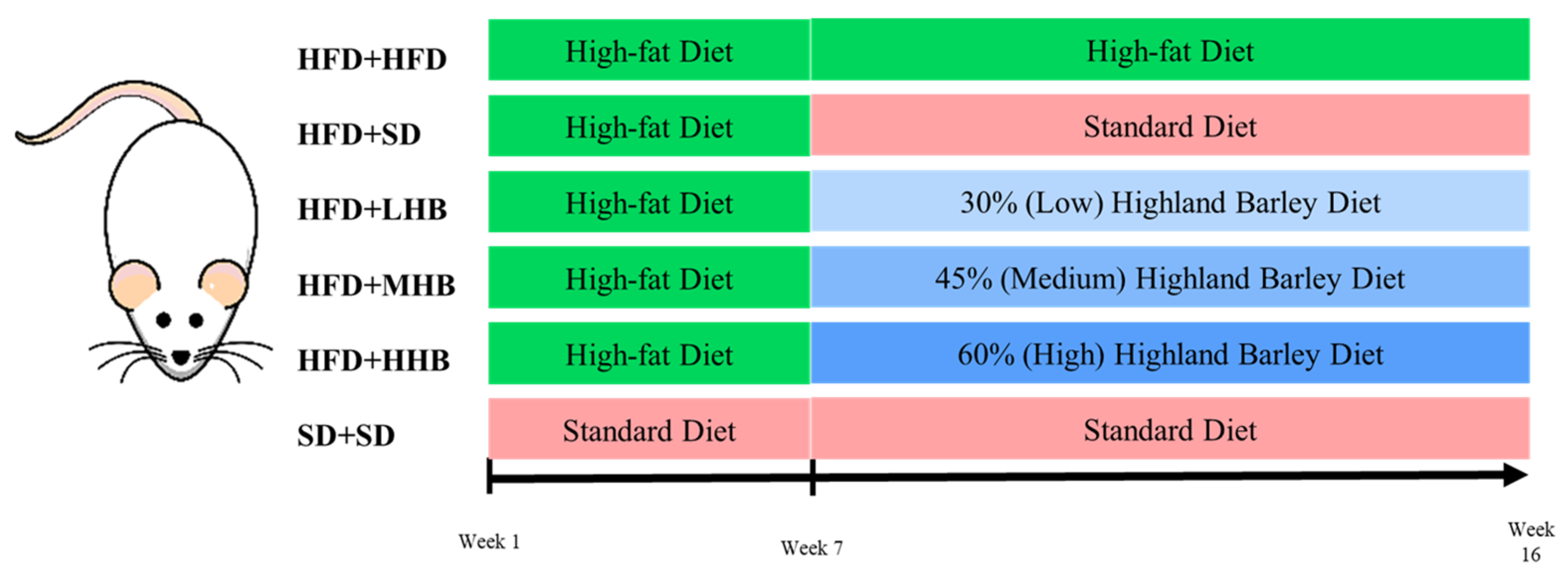 Nutrients 16 03518 g001